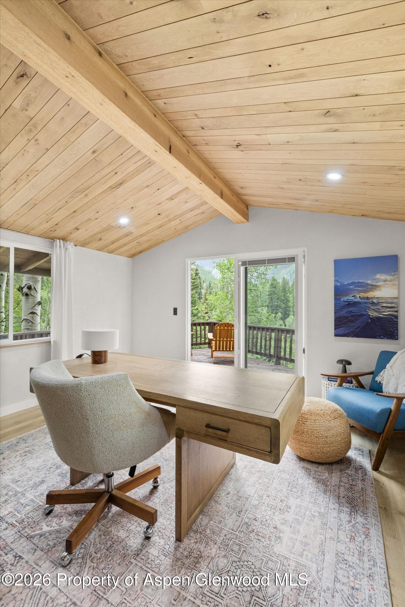 5387 Castle Creek Road, Aspen, CO 81611 - Photo 33