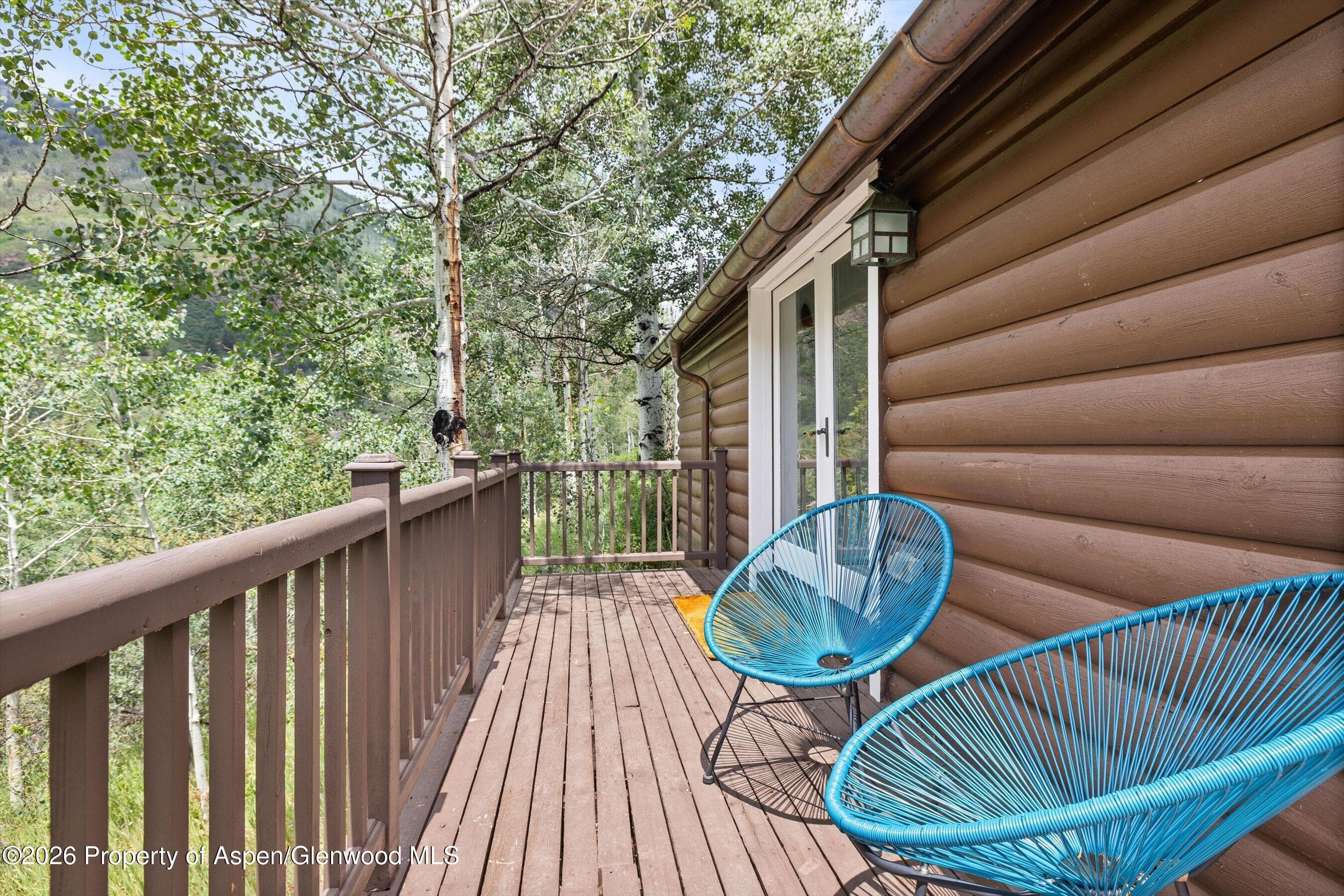 5387 Castle Creek Road, Aspen, CO 81611 - Photo 31