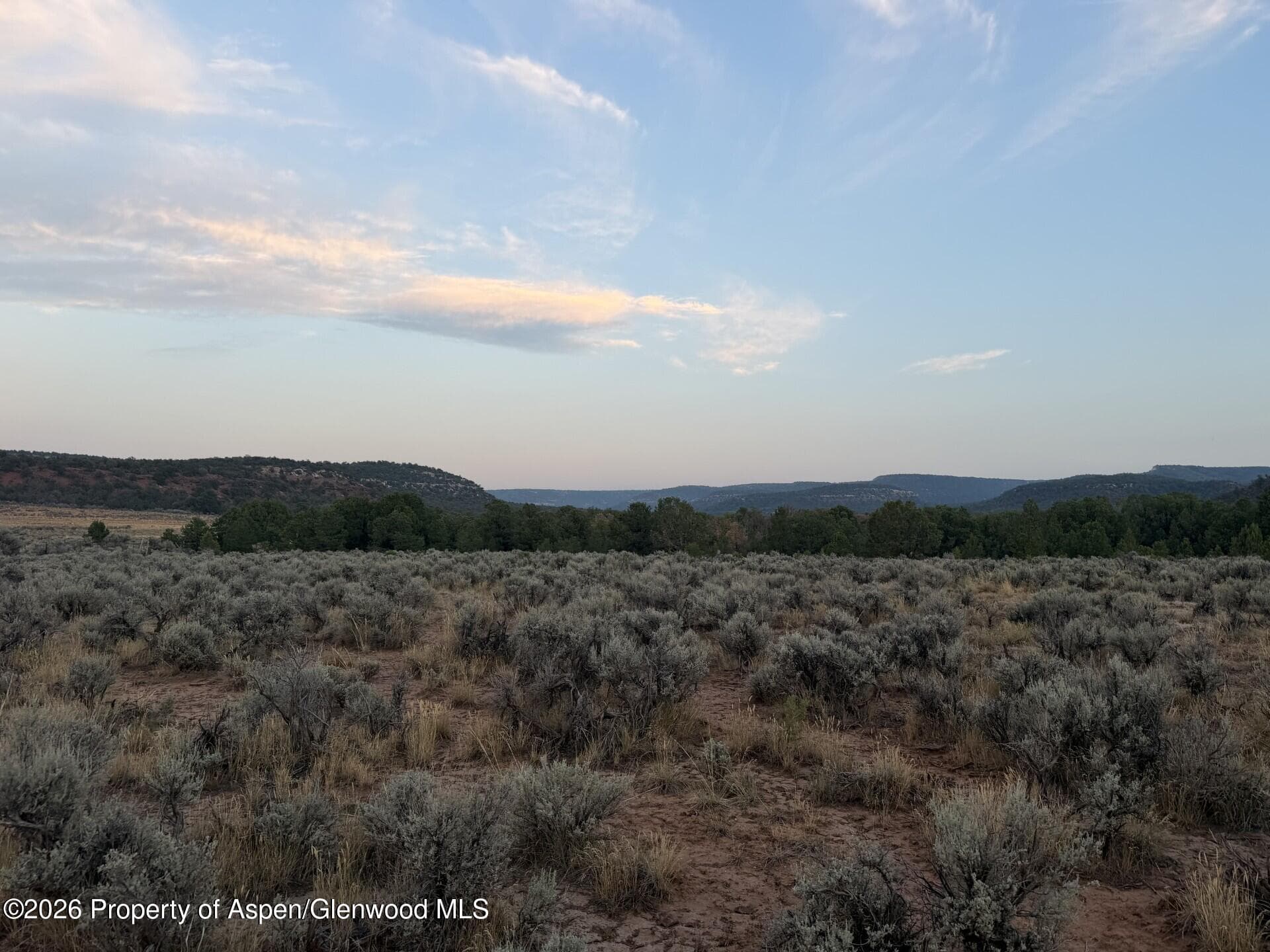 Tbd S 9 8/10 Road, Glade Park, CO 81523