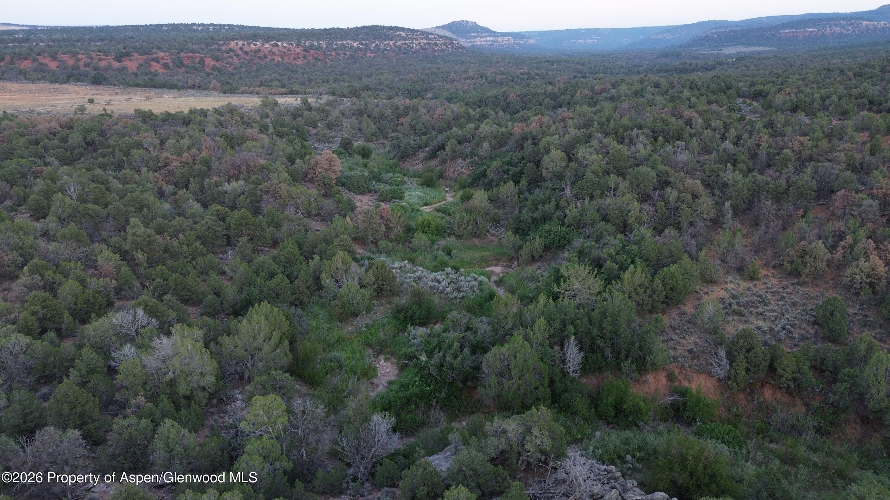 Tbd S 9 8/10 Road, Glade Park, CO 81523 - Photo 2