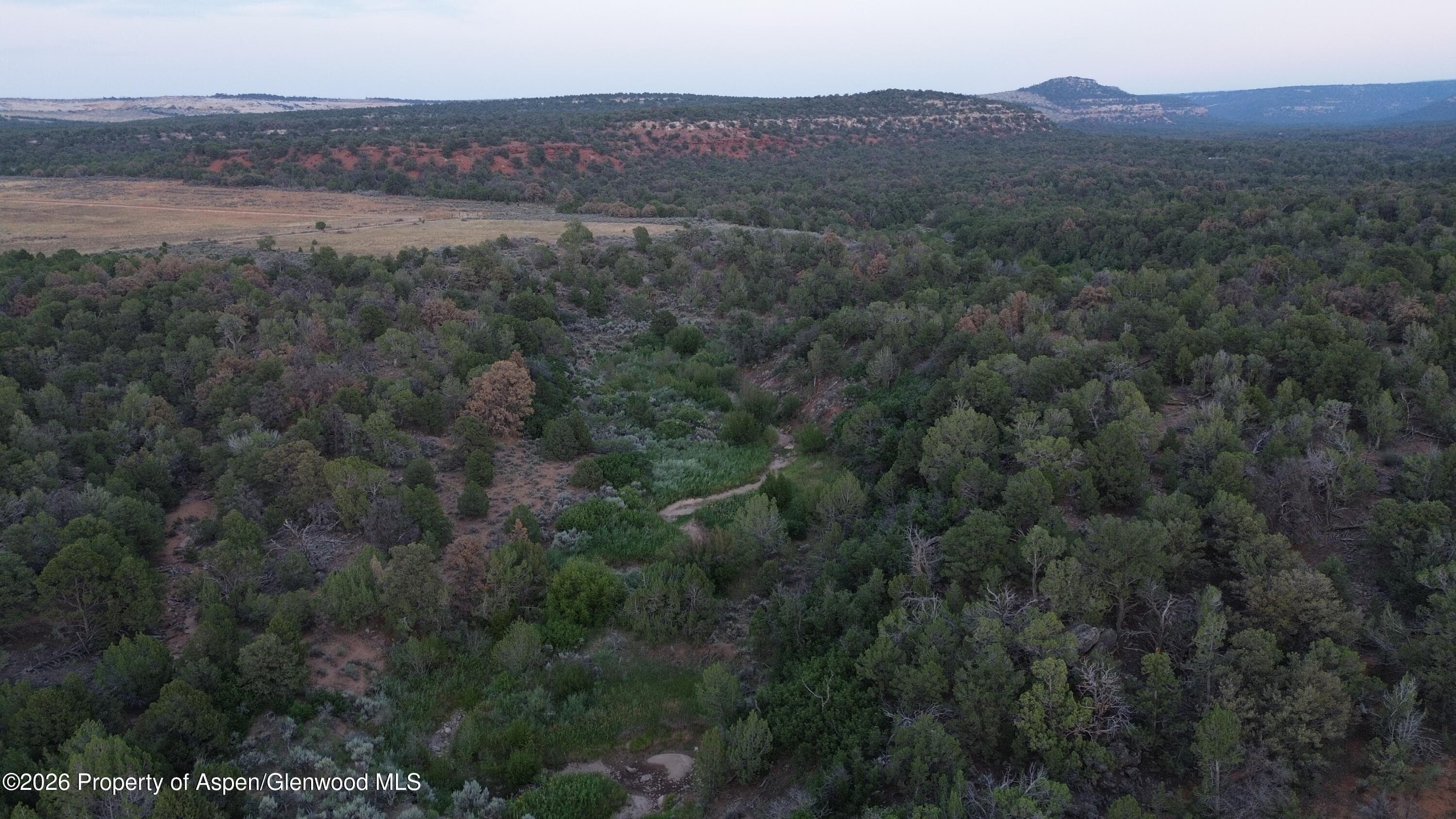 Tbd S 9 8/10 Road, Glade Park, CO 81523 - Photo 3