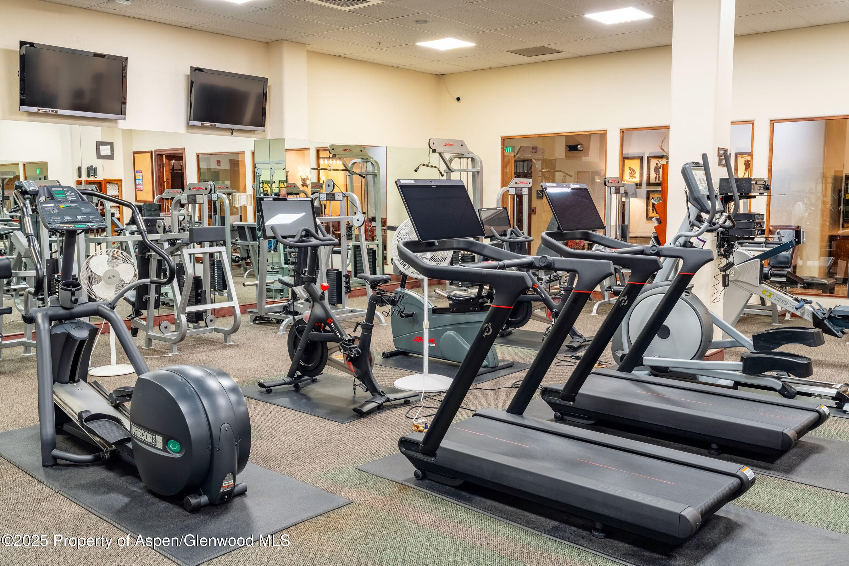 96 Timbers Club Court L3-V, Snowmass Village, CO 81615 - Photo 23