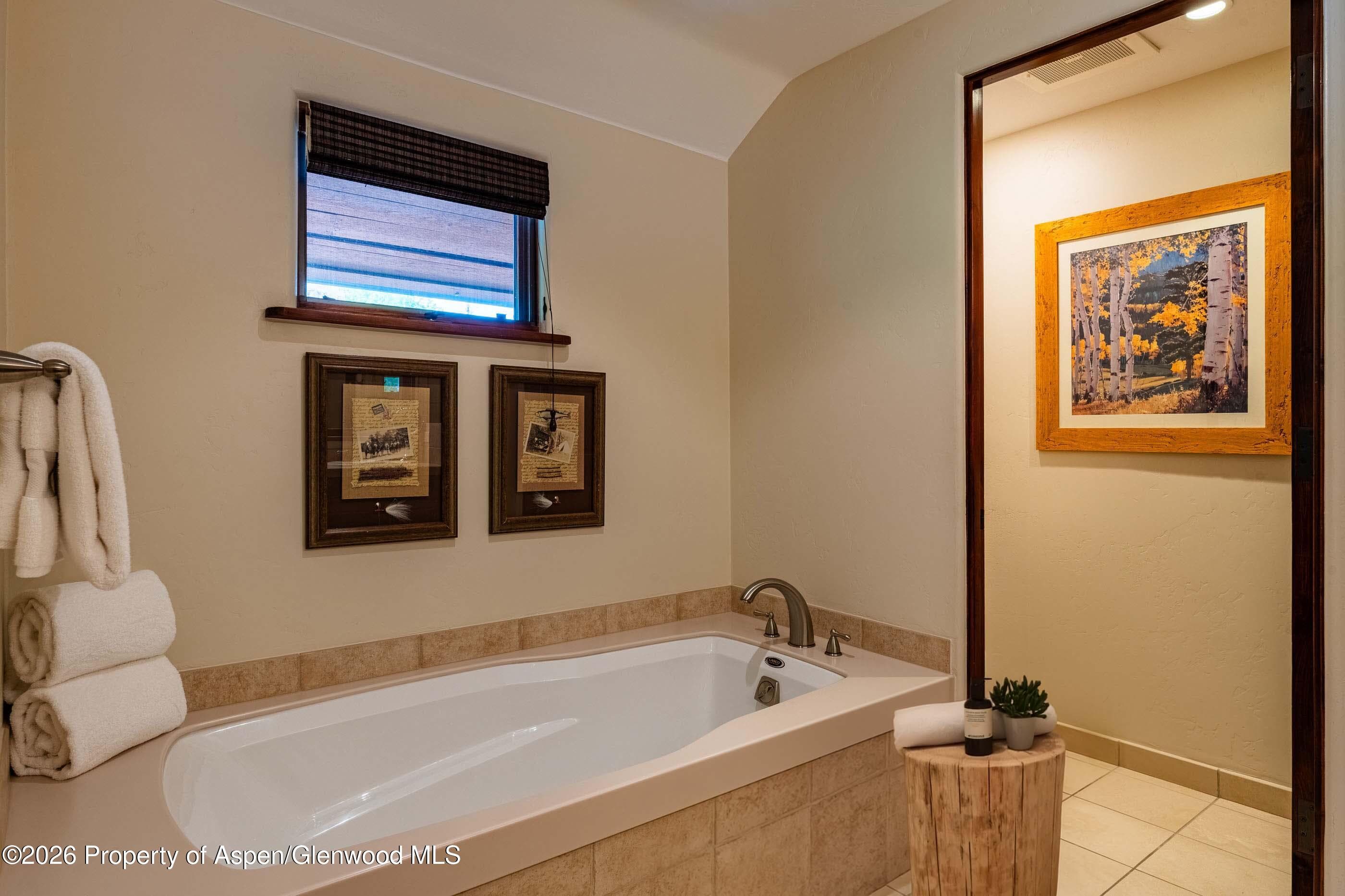 96 Timbers Club Court L3-V, Snowmass Village, CO 81615 - Photo 16