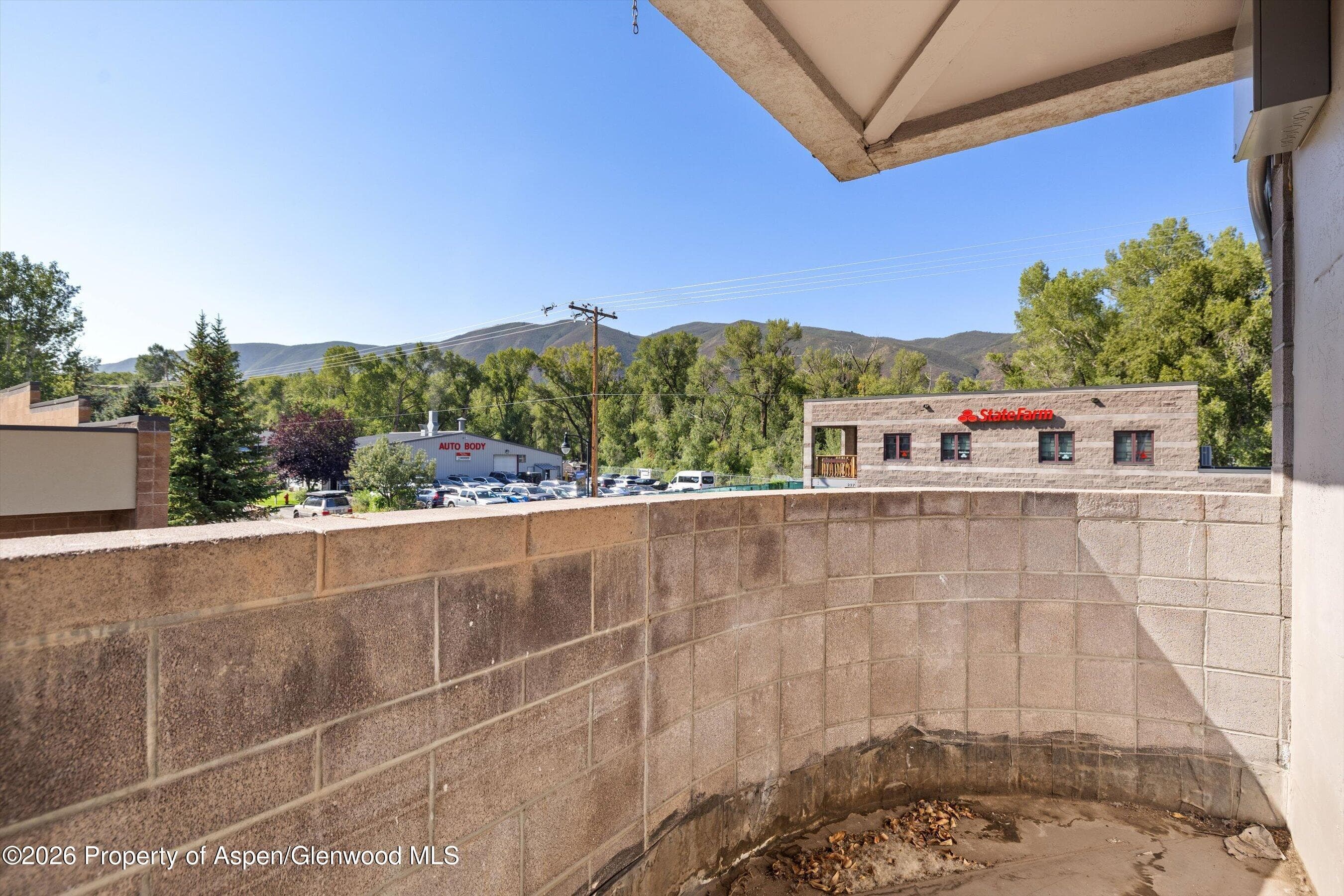 216 E Cody Lane, Basalt, CO 81621 - Photo 8
