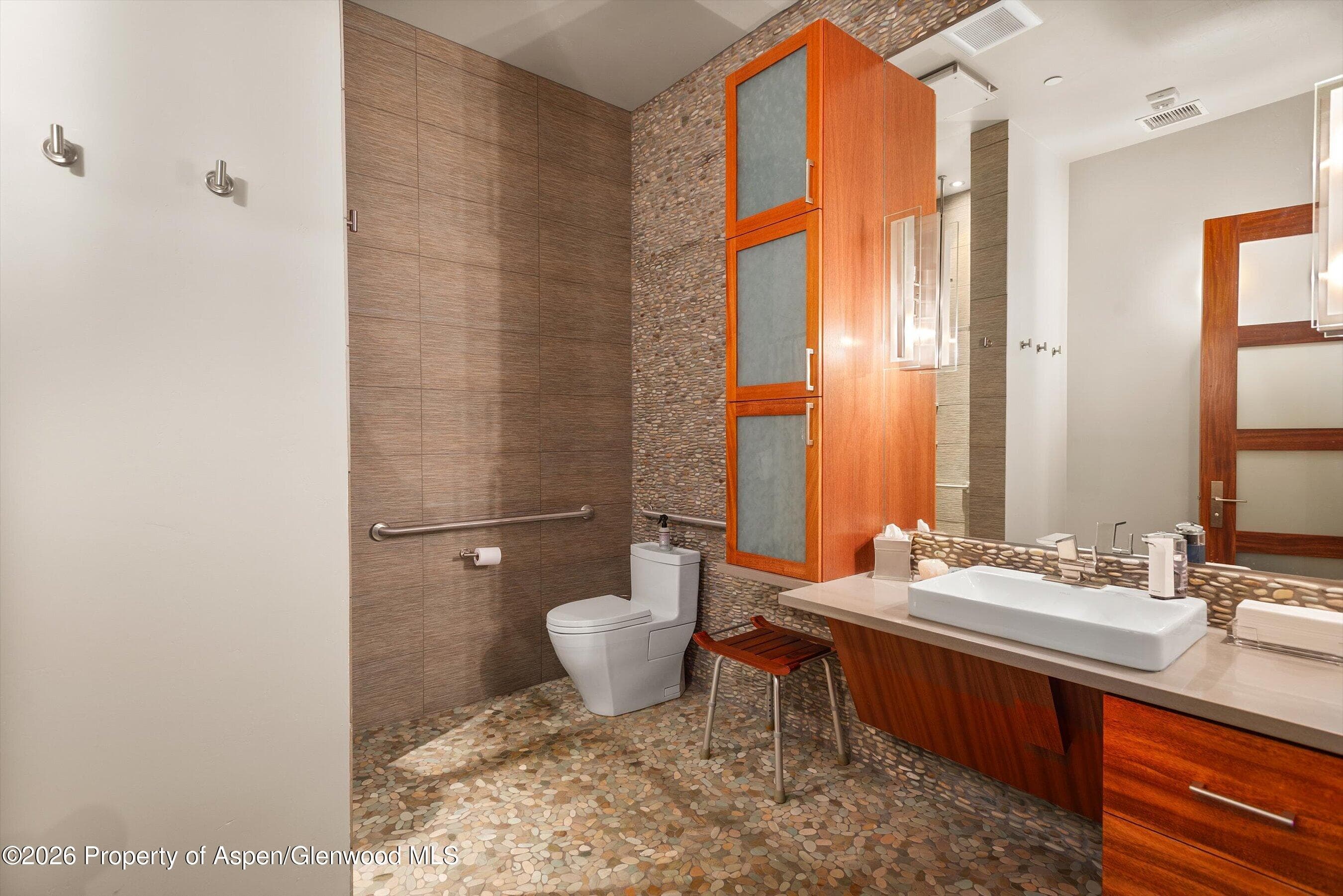 241 Robinson Street, Basalt, CO 81621 - Photo 18