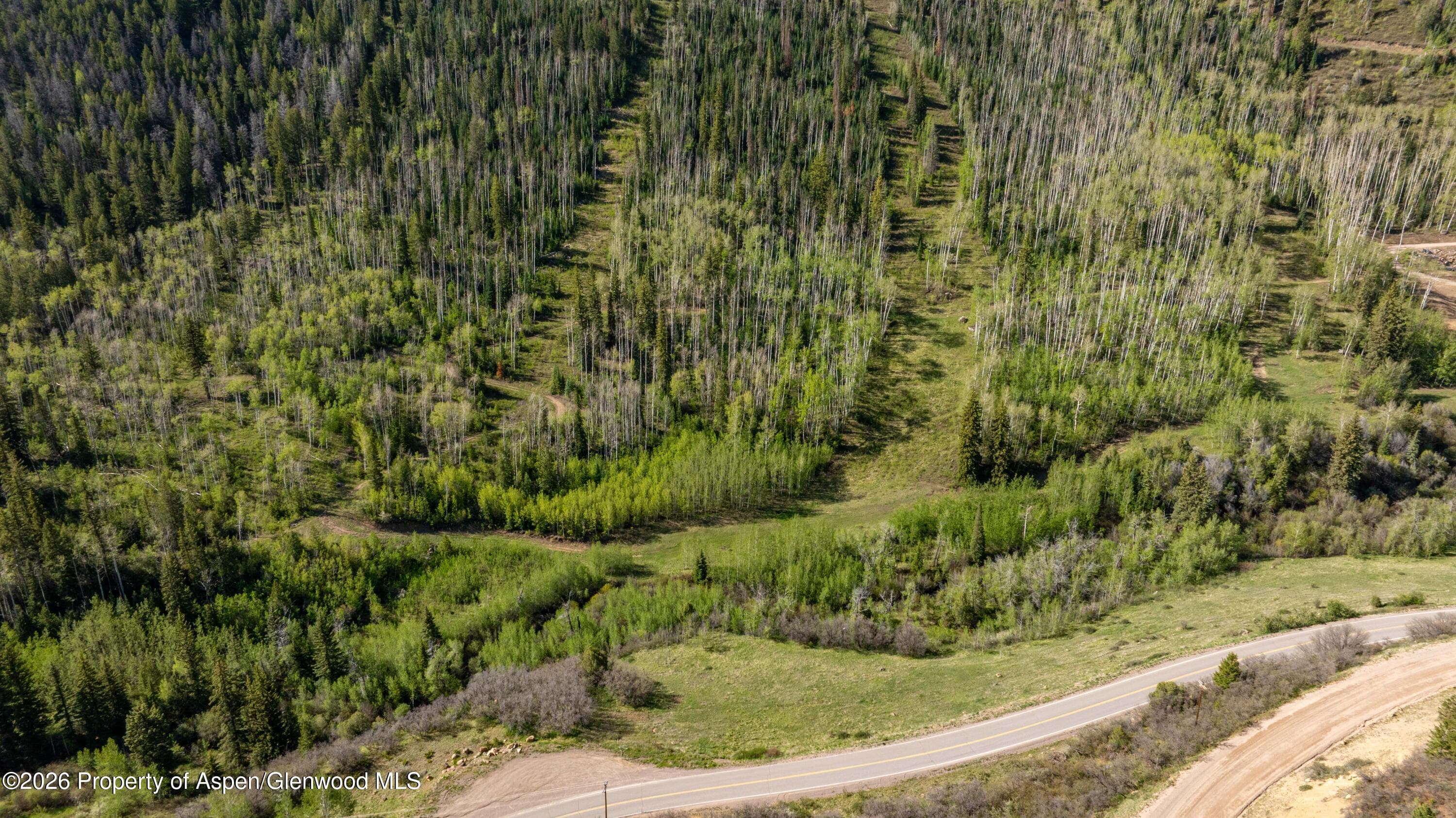 Tbd Forest Service Road 300 East Ridge, Glenwood Springs, CO 81601 - Photo 7