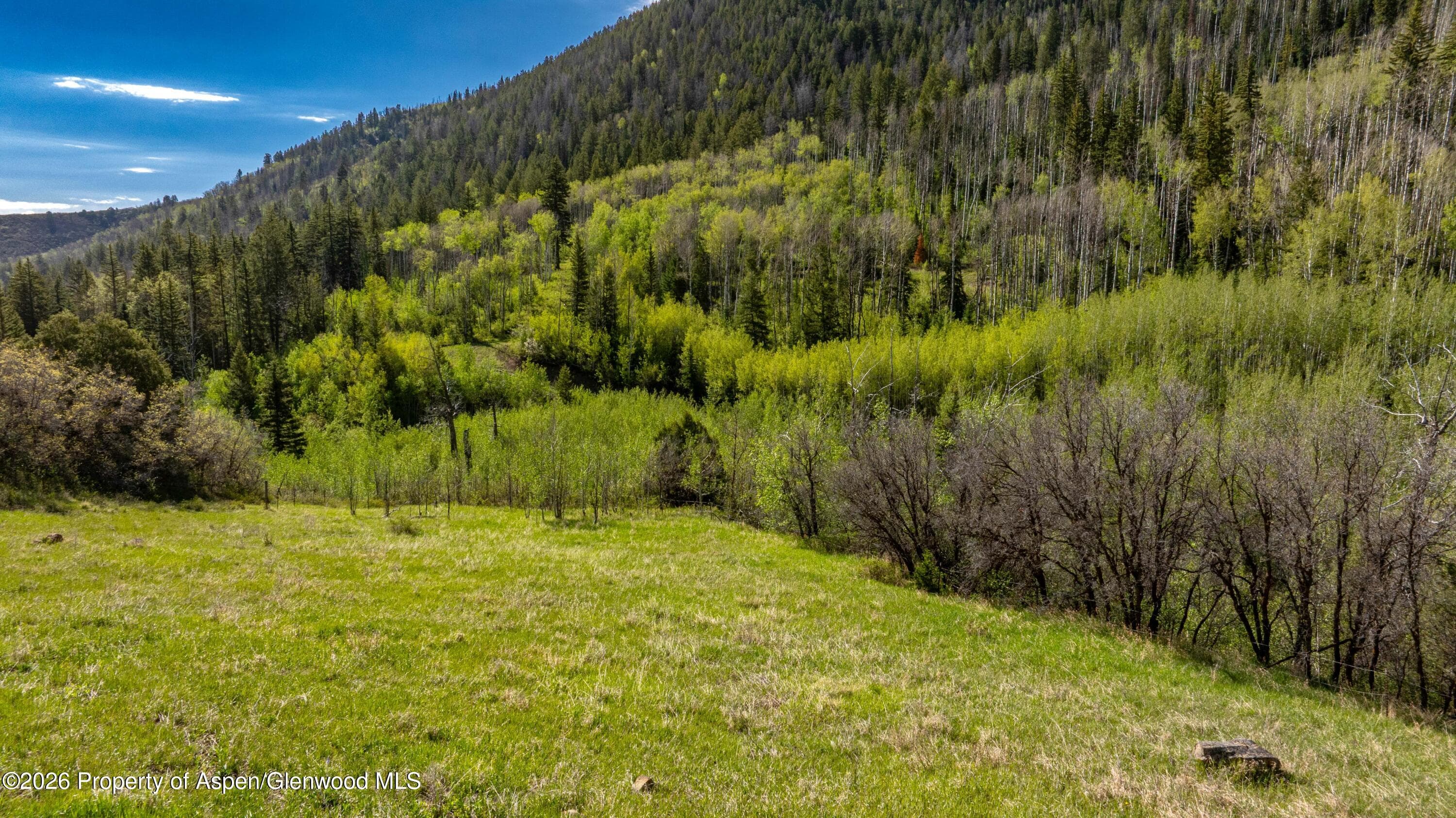 Tbd Forest Service Road 300 East Ridge, Glenwood Springs, CO 81601 - Photo 8