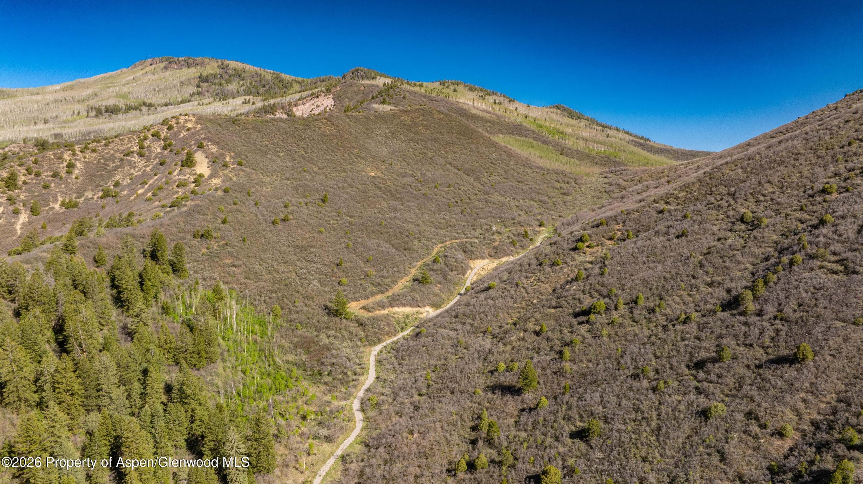 Tbd Forest Service Road 300 East Ridge, Glenwood Springs, CO 81601 - Photo 9