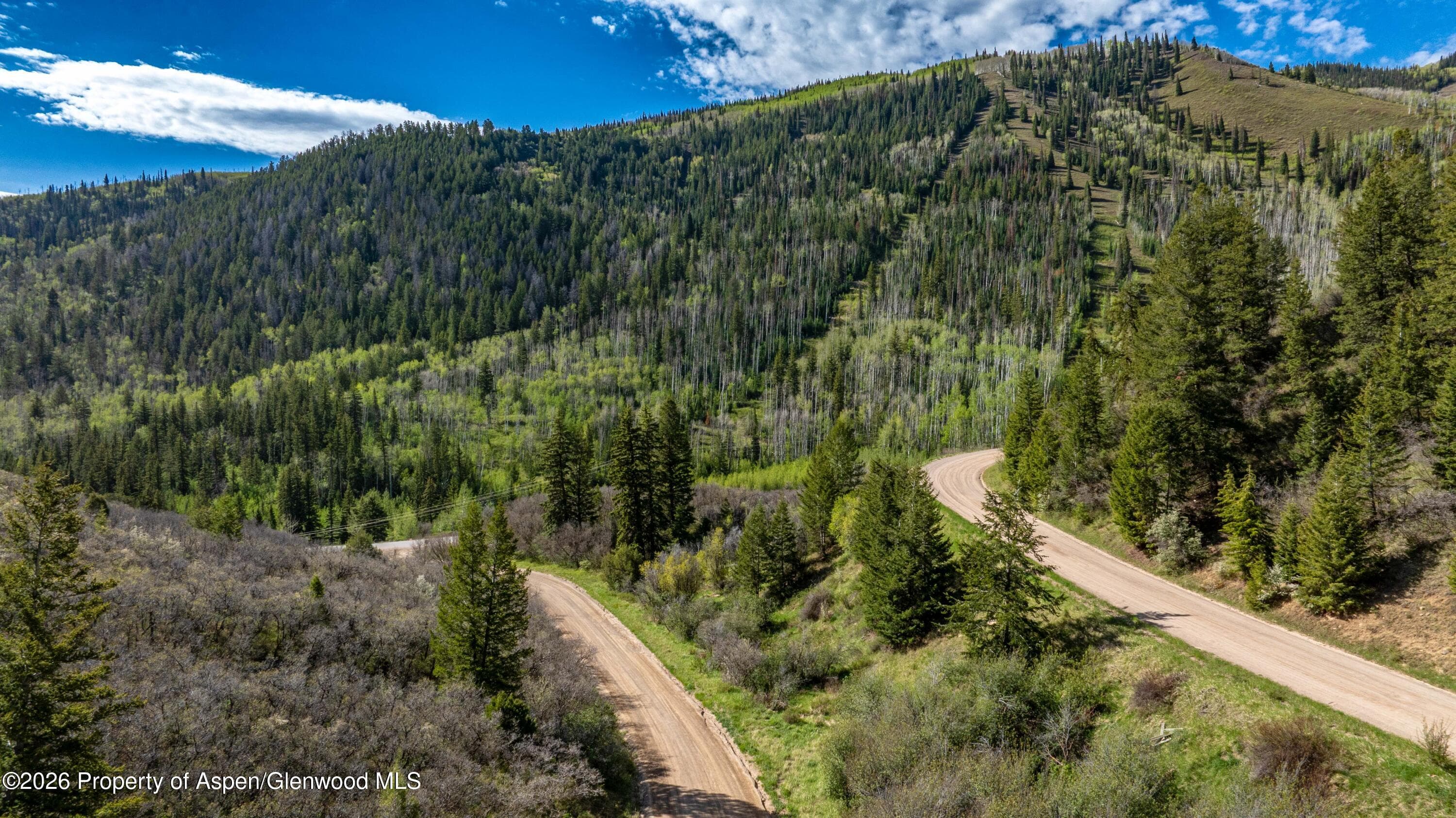 Tbd Forest Service Road 300 East Ridge, Glenwood Springs, CO 81601 - Photo 10