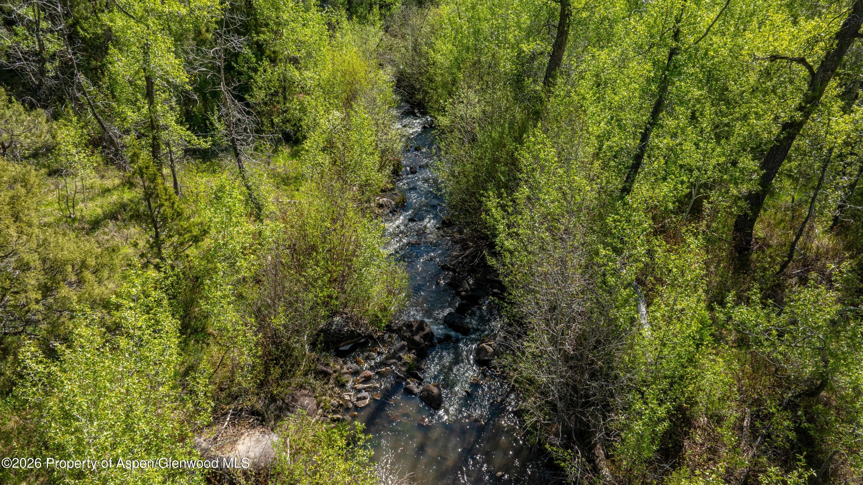Tbd Forest Service Road 300 East Ridge, Glenwood Springs, CO 81601 - Photo 2