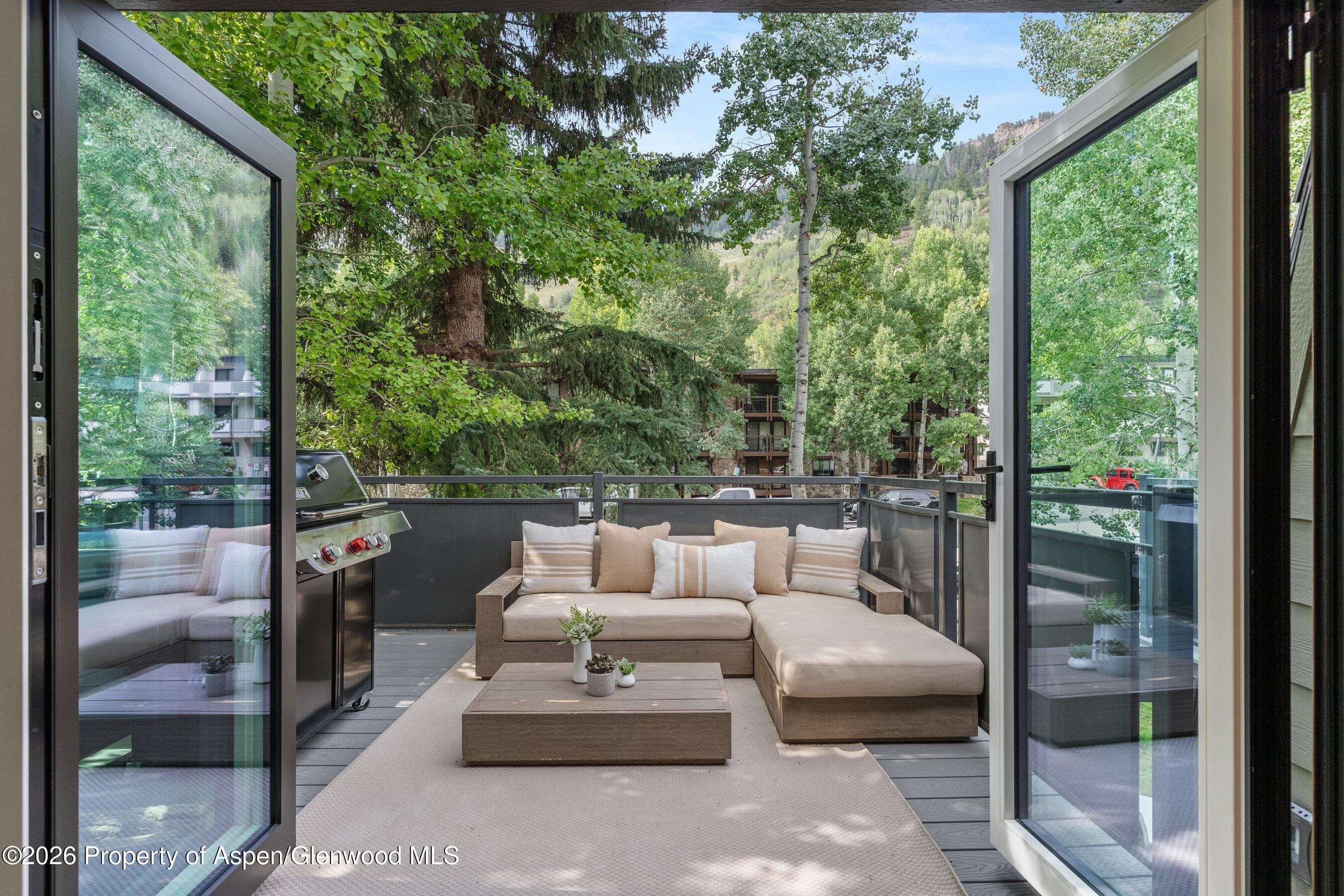 124 E Durant Avenue Unit 1, Aspen, CO 81611 - Photo 6