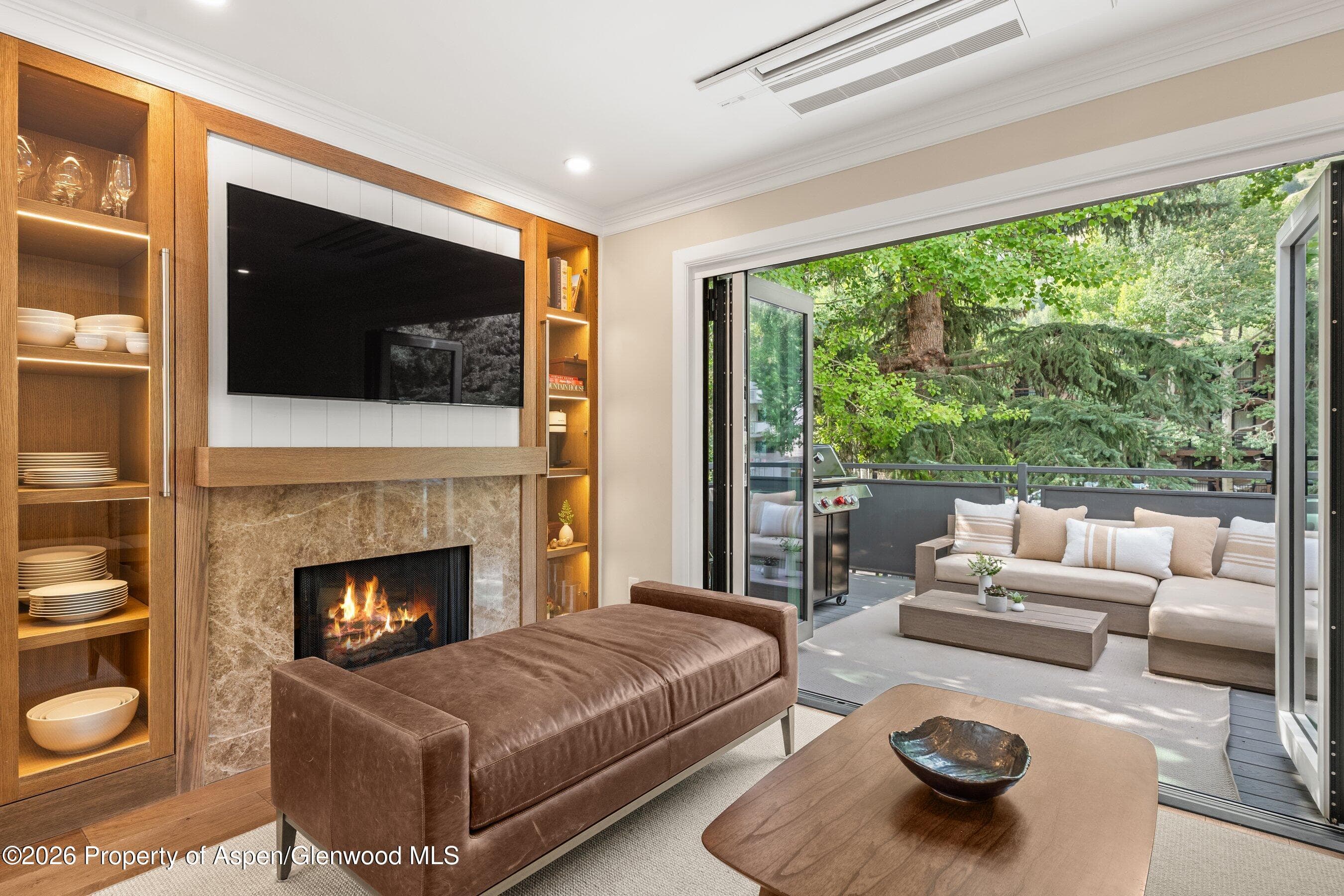 124 E Durant Avenue Unit 1, Aspen, CO 81611 - Photo 5