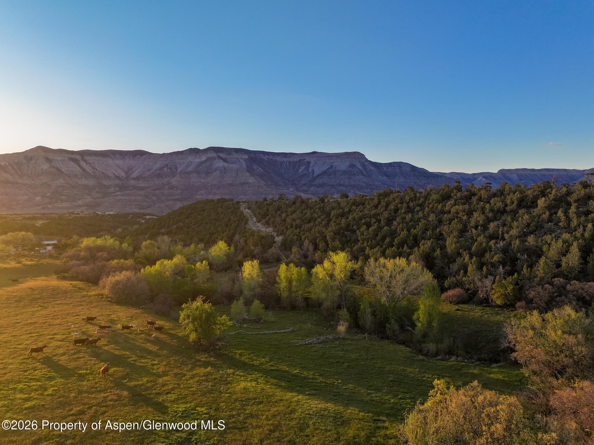 Tbd County Road 306, Parachute, CO 81635 - Photo 4