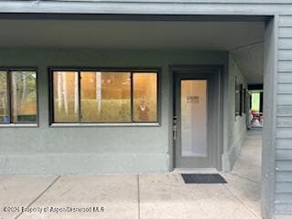 25 Lower Woodbridge Road G & H, Snowmass Village, CO 81615 - Photo 19