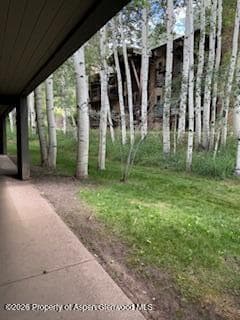 25 Lower Woodbridge Road G & H, Snowmass Village, CO 81615 - Photo 21