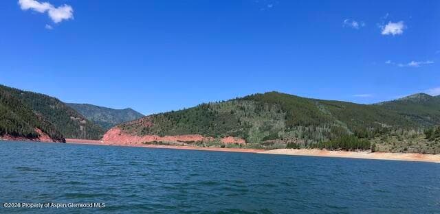 449 Mclaughlin Lane, Basalt, CO 81621 - Photo 6