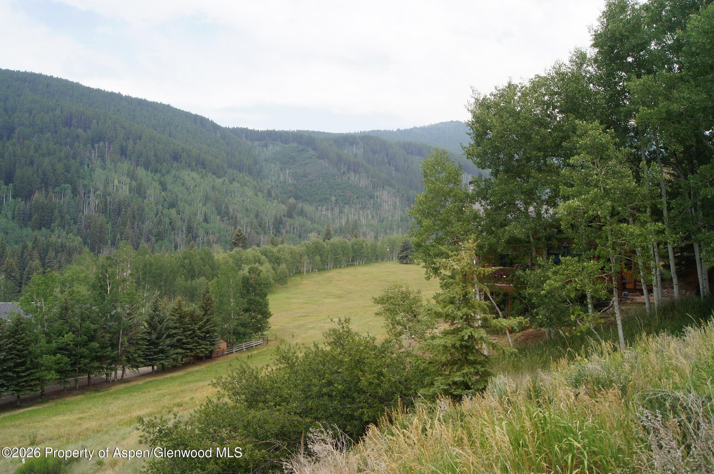 449 Mclaughlin Lane, Basalt, CO 81621 - Photo 2
