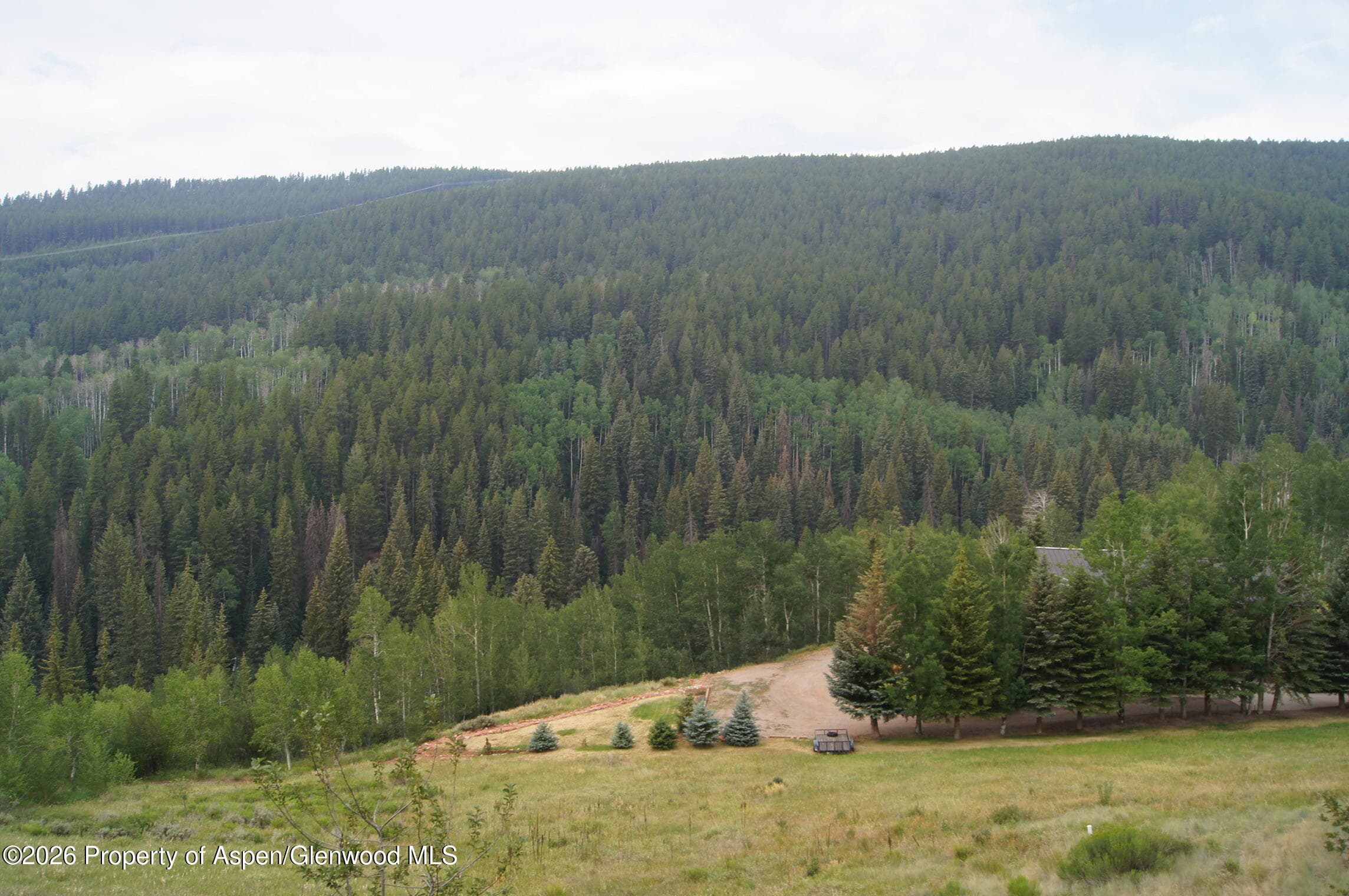 449 Mclaughlin Lane, Basalt, CO 81621 - Photo 4