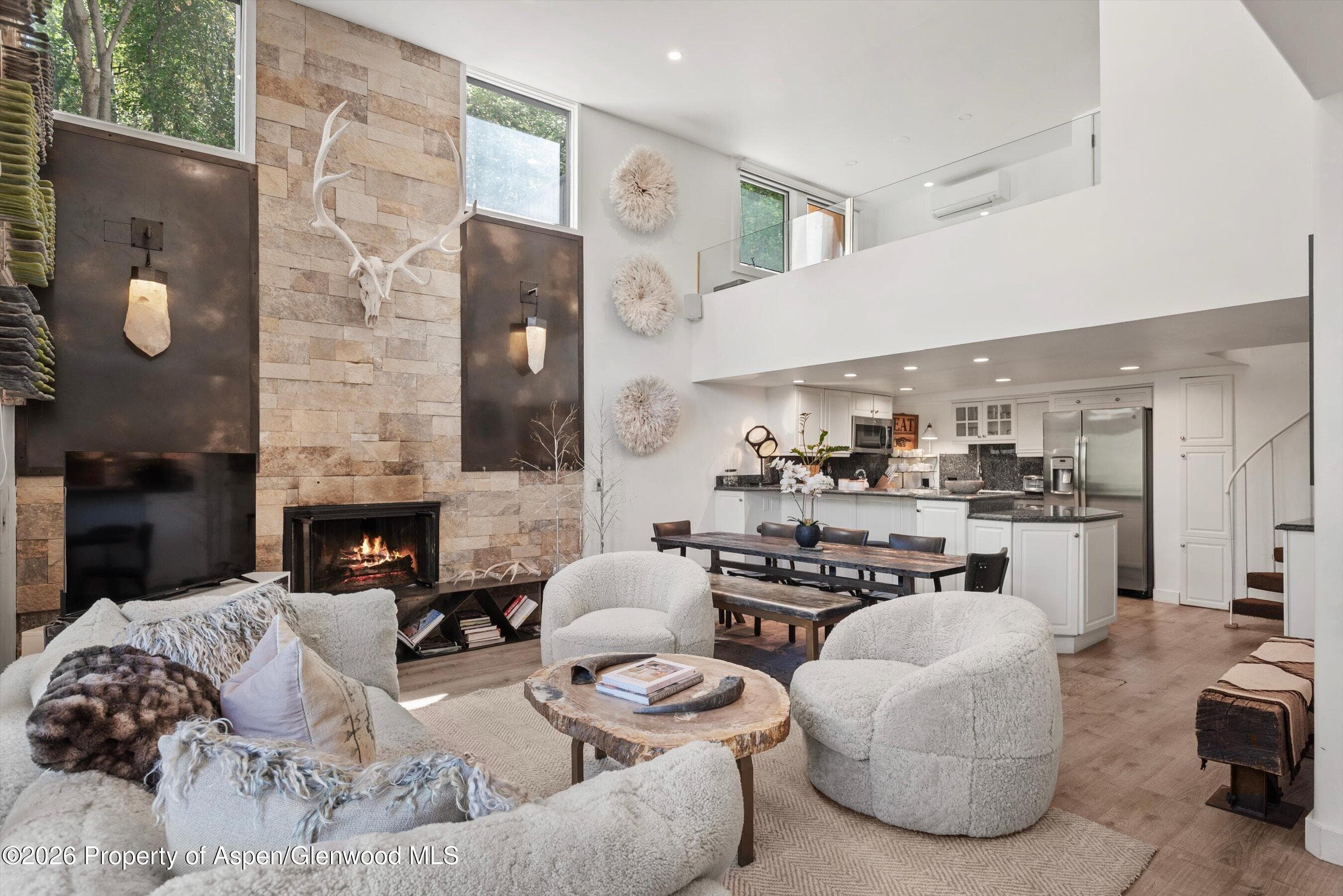 800 S Mill Street 101-C, Aspen, CO 81611 - Photo 2