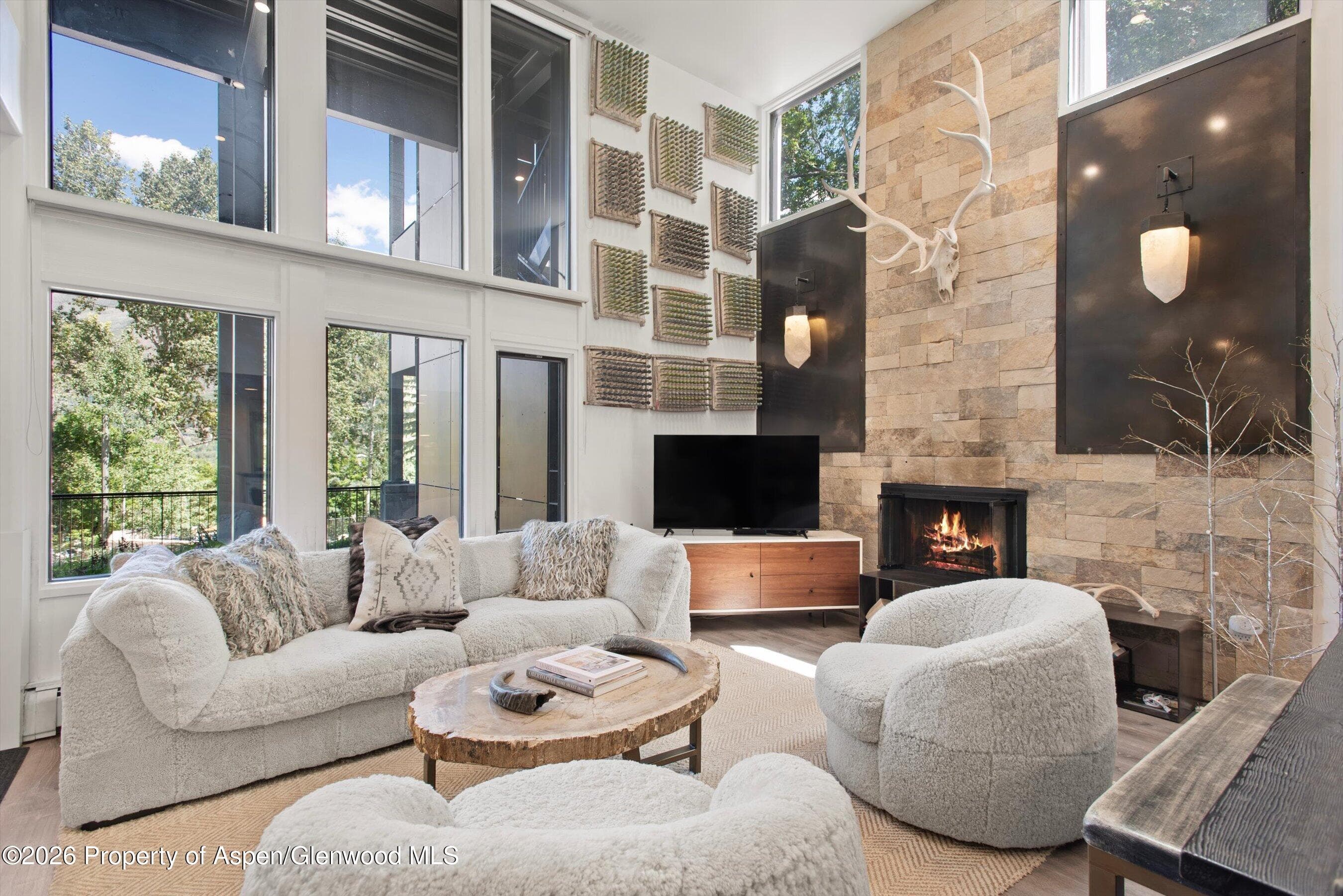 800 S Mill Street 101-C, Aspen, CO 81611 - Photo 3
