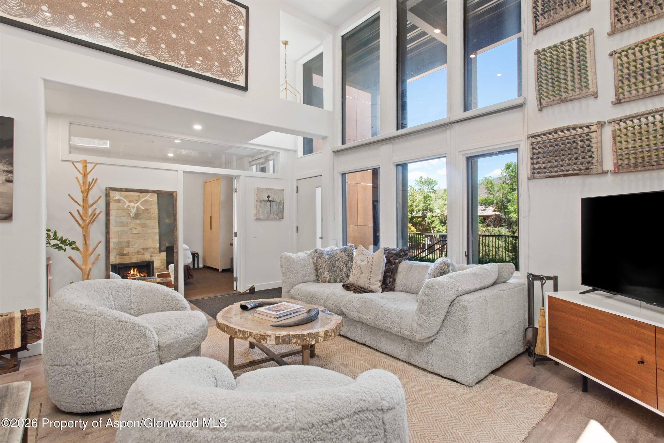 800 S Mill Street 101-C, Aspen, CO 81611 - Photo 4