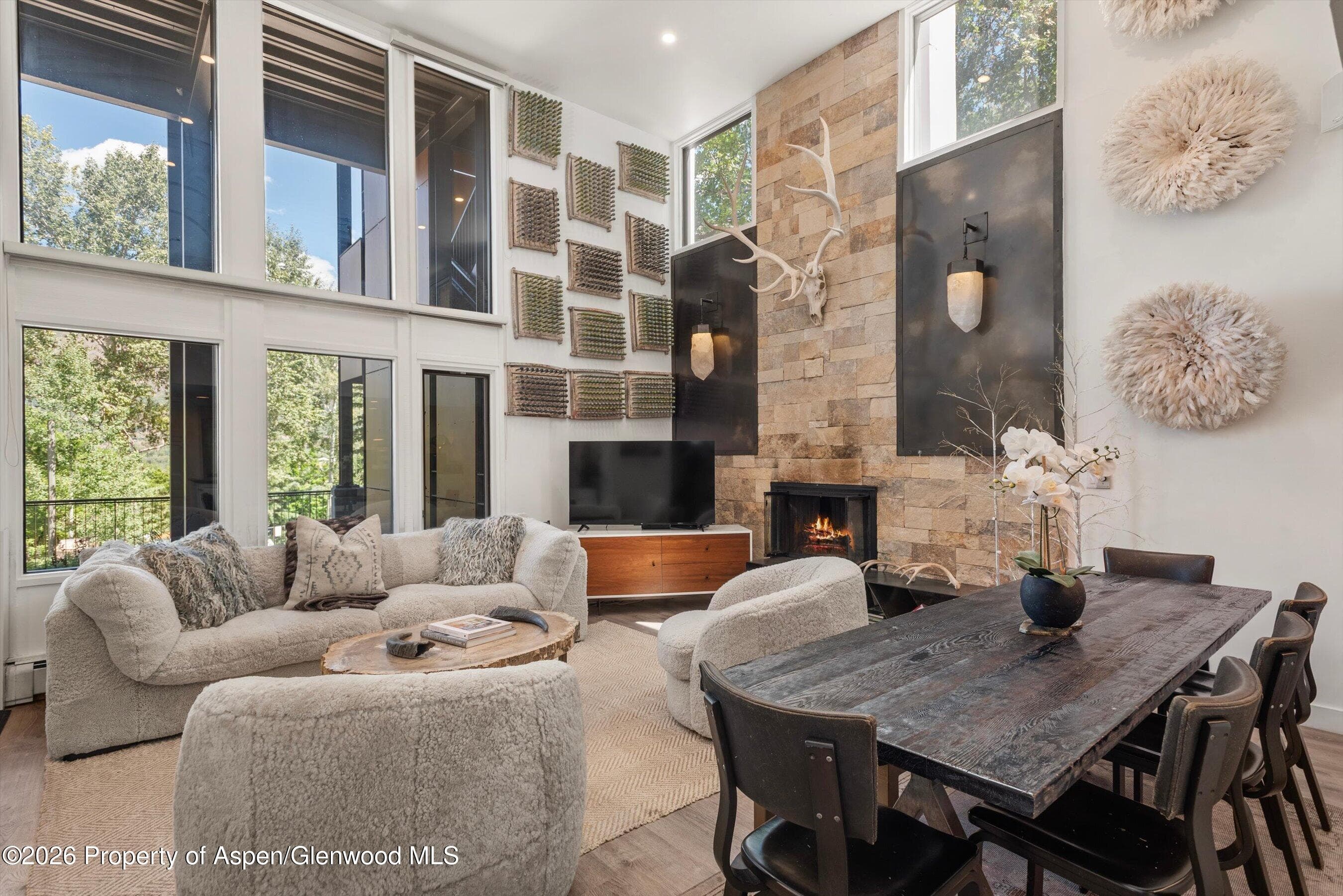 800 S Mill Street 101-C, Aspen, CO 81611 - Photo 6