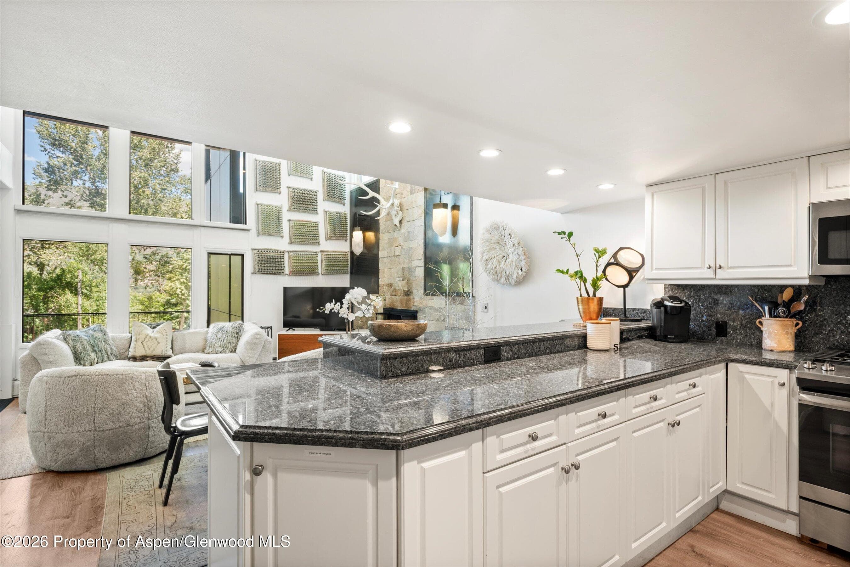 800 S Mill Street 101-C, Aspen, CO 81611 - Photo 11
