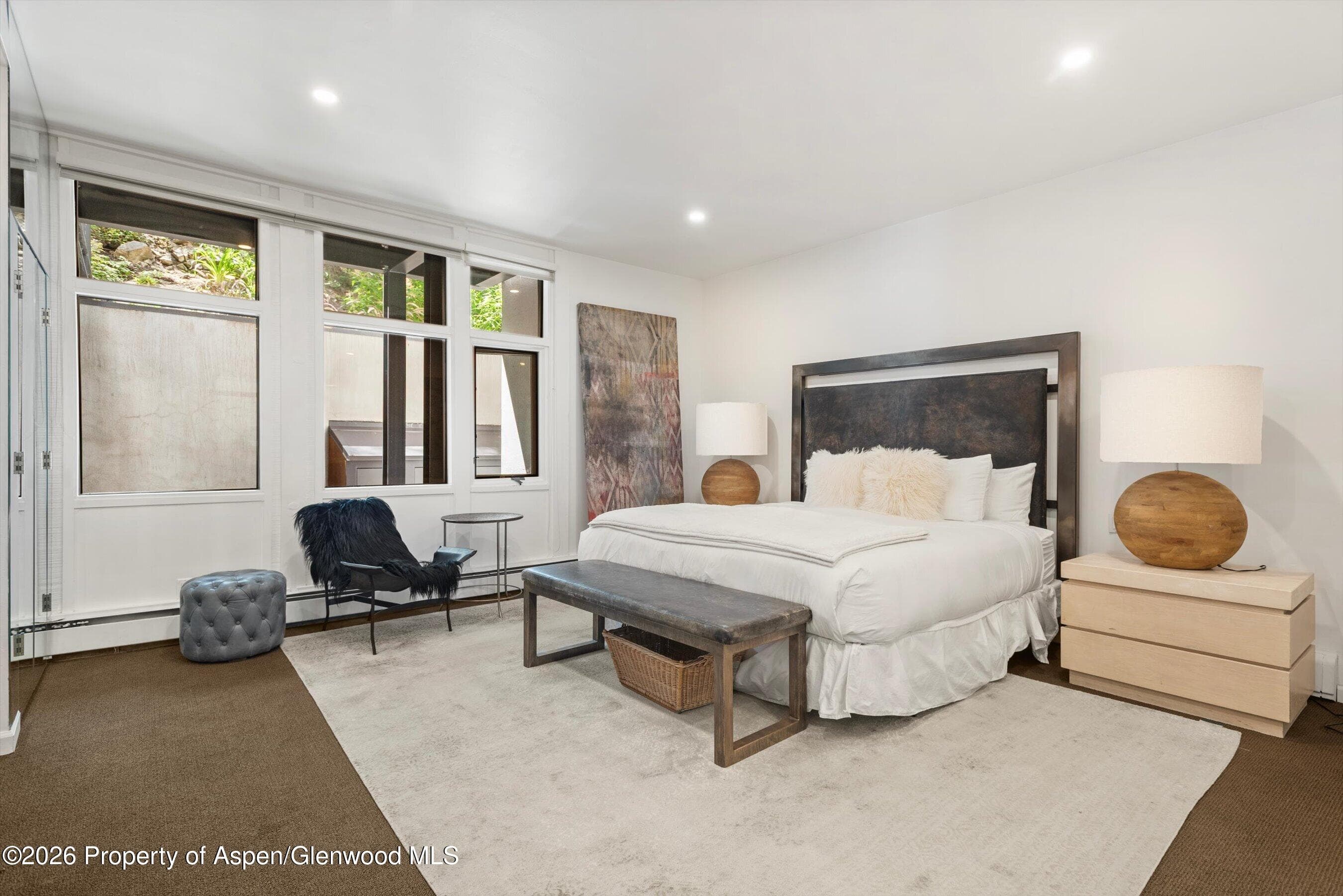800 S Mill Street 101-C, Aspen, CO 81611 - Photo 12