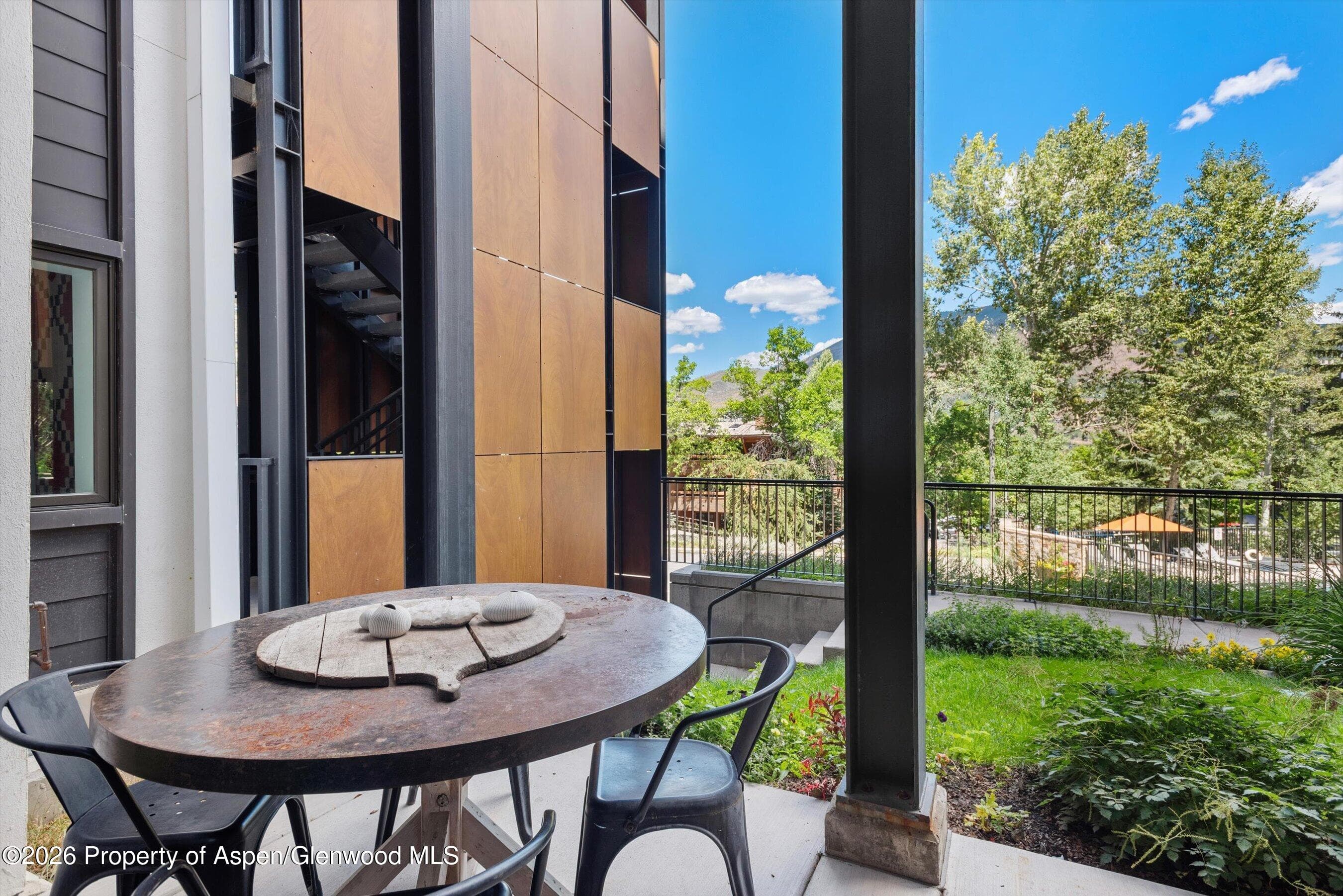 800 S Mill Street 101-C, Aspen, CO 81611 - Photo 23