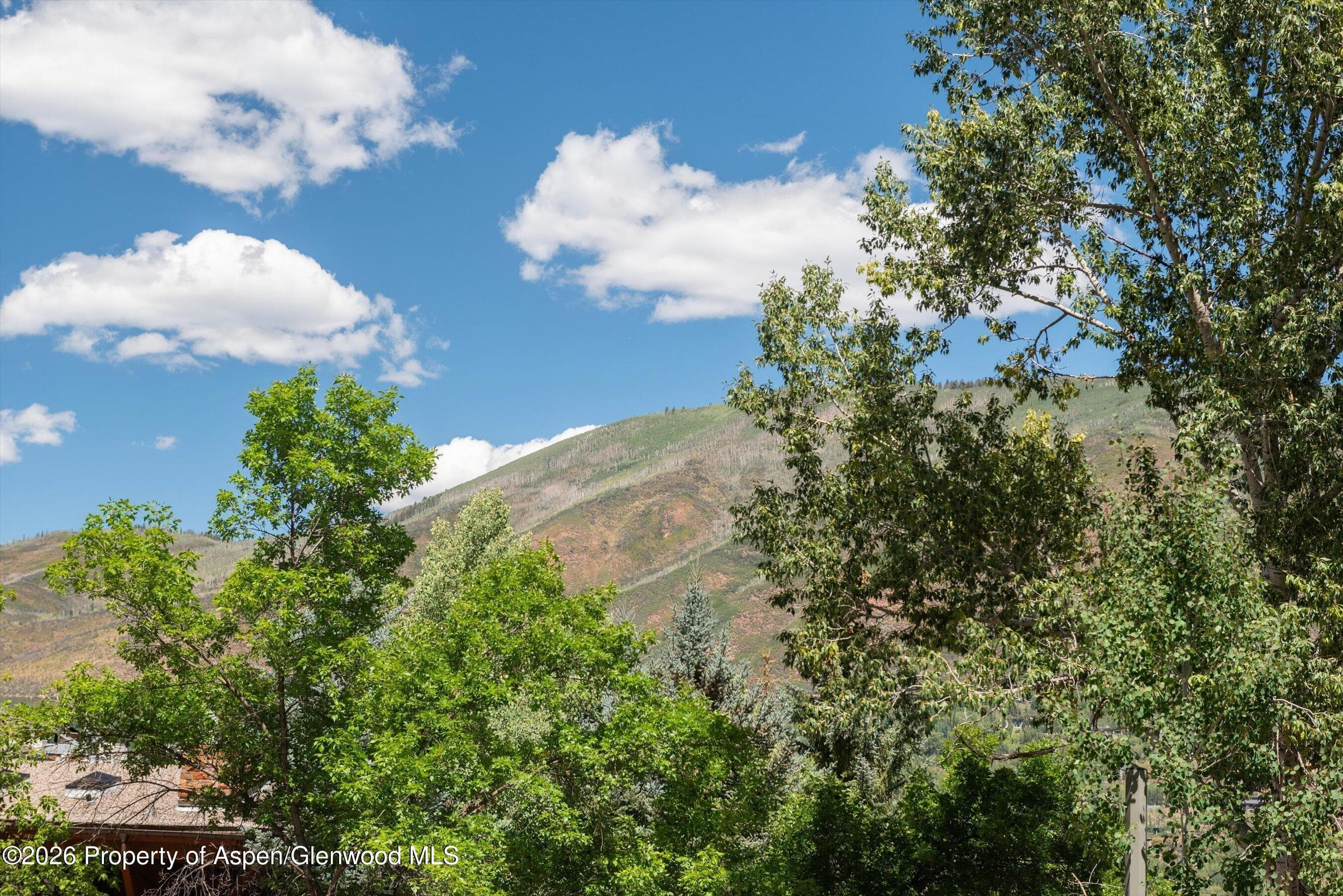 800 S Mill Street 101-C, Aspen, CO 81611 - Photo 25