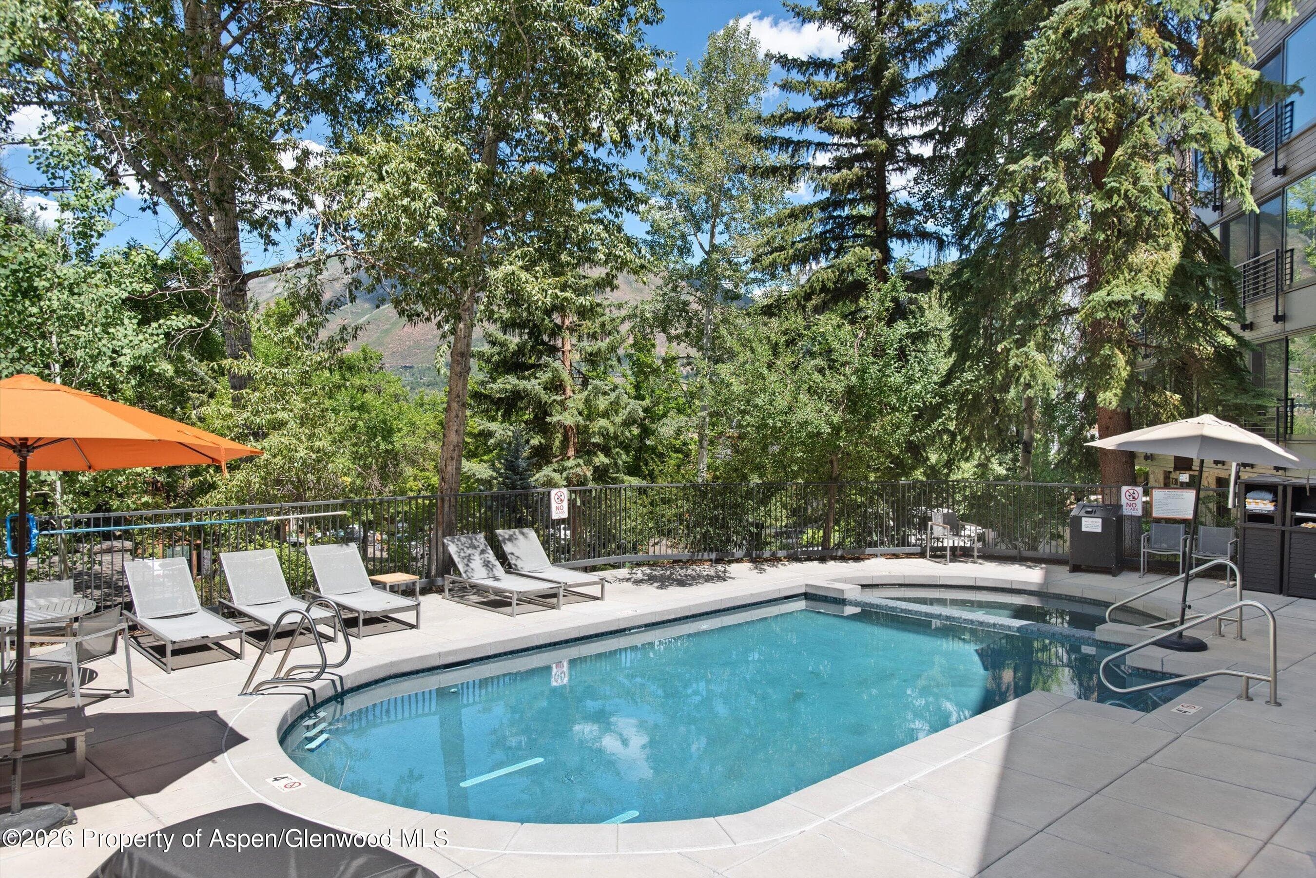 800 S Mill Street 101-C, Aspen, CO 81611 - Photo 30