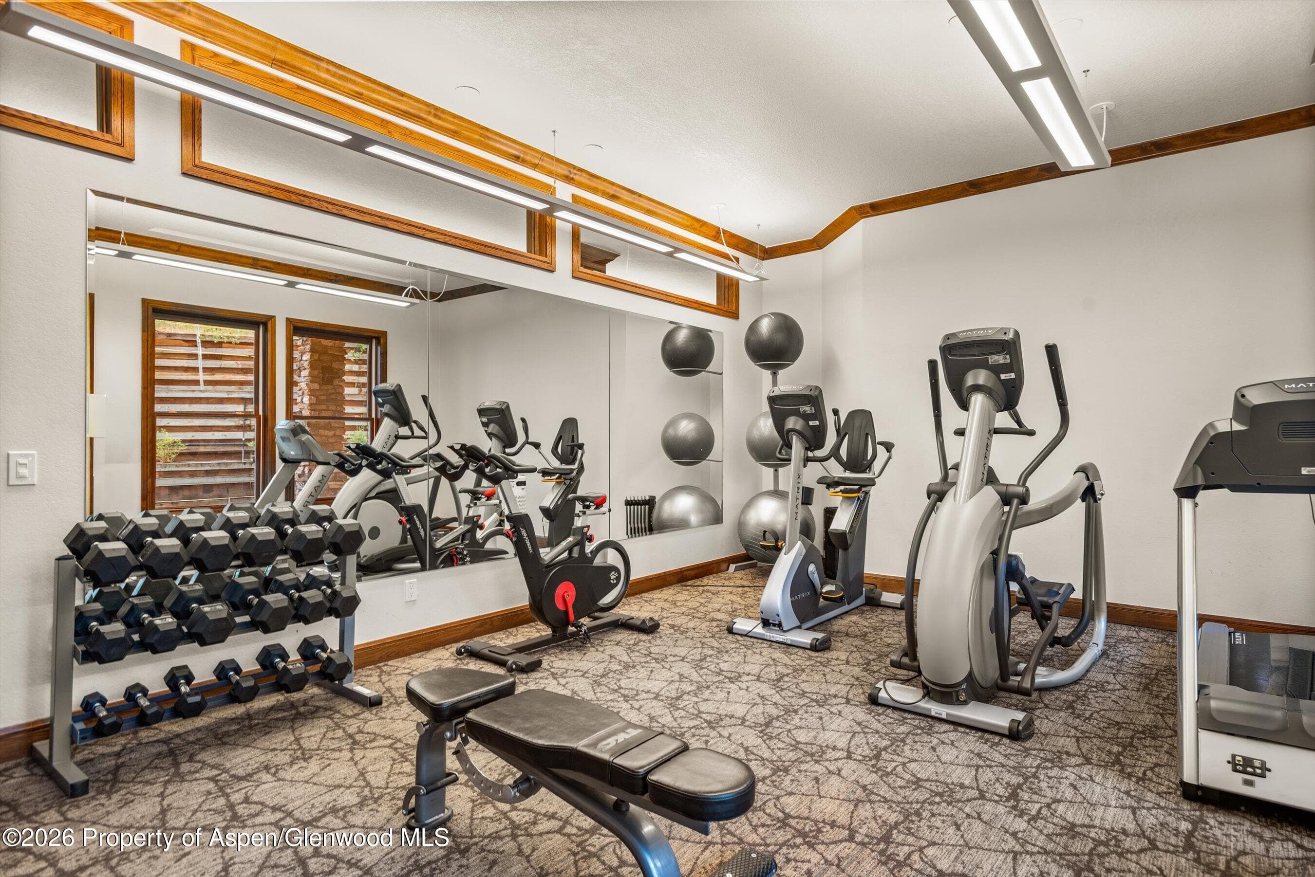 425 Wood Road 6, Snowmass Village, CO 81615 - Photo 20