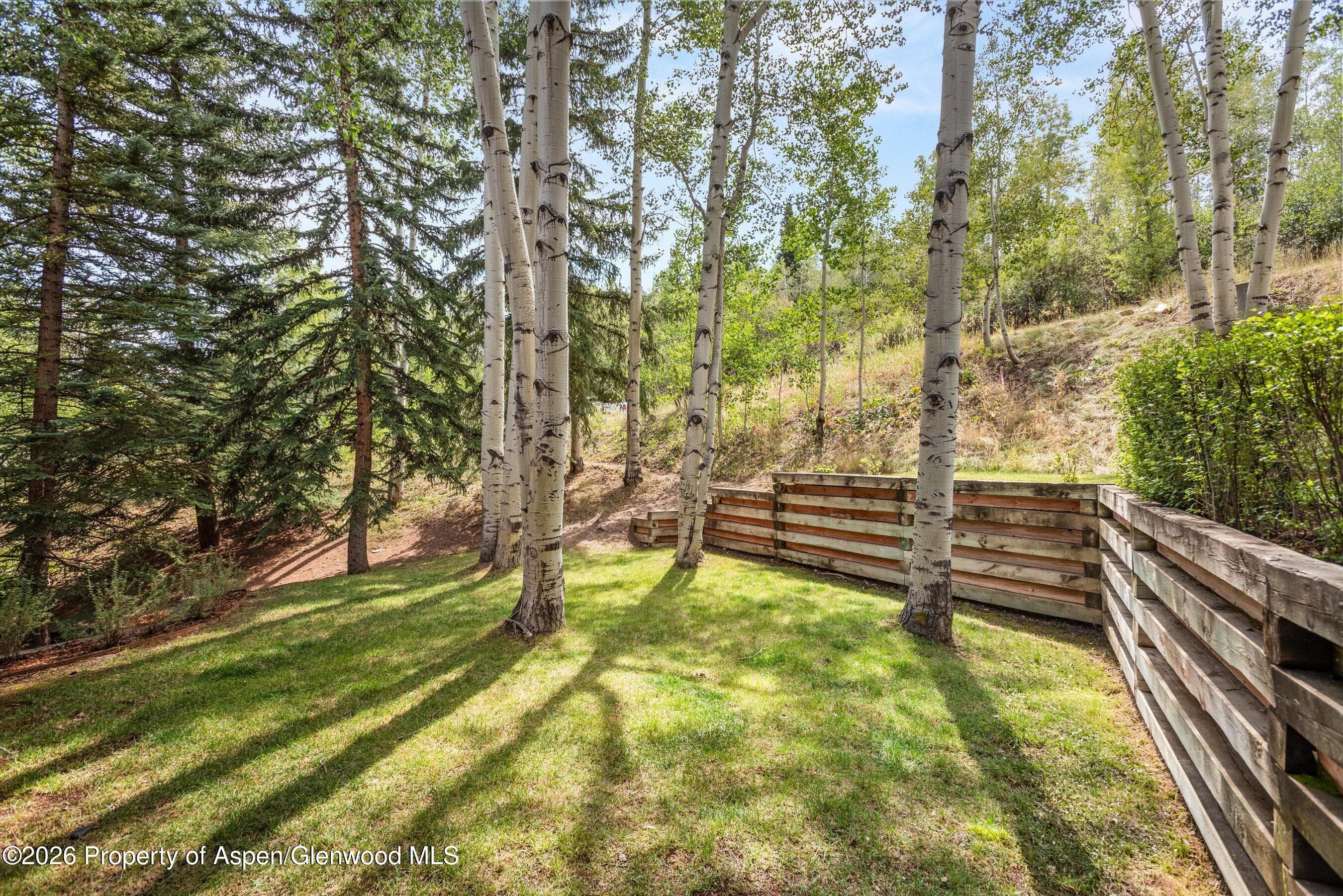 425 Wood Road 6, Snowmass Village, CO 81615 - Photo 11