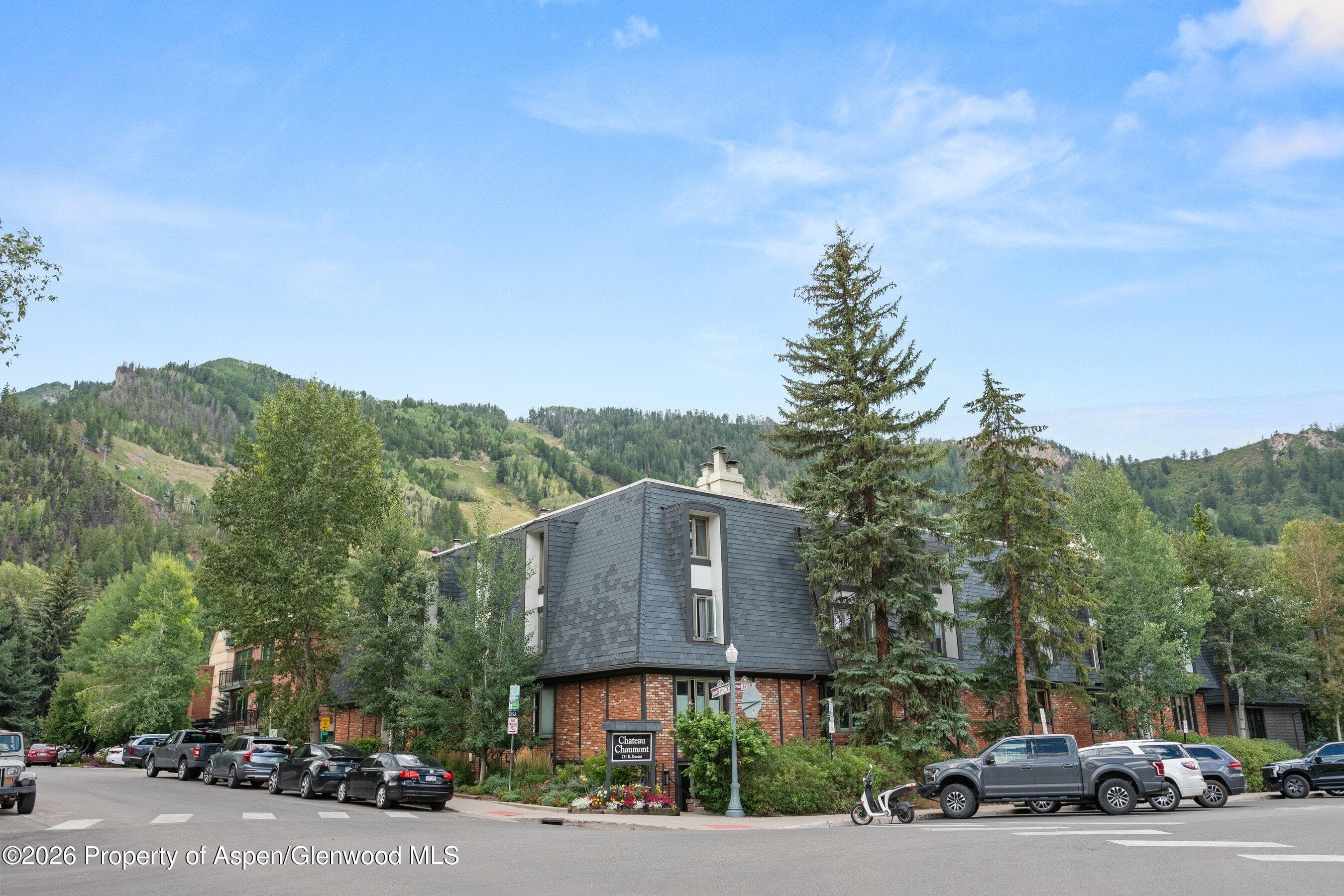731 E Durant Avenue 17, Aspen, CO 81611 - Photo 27