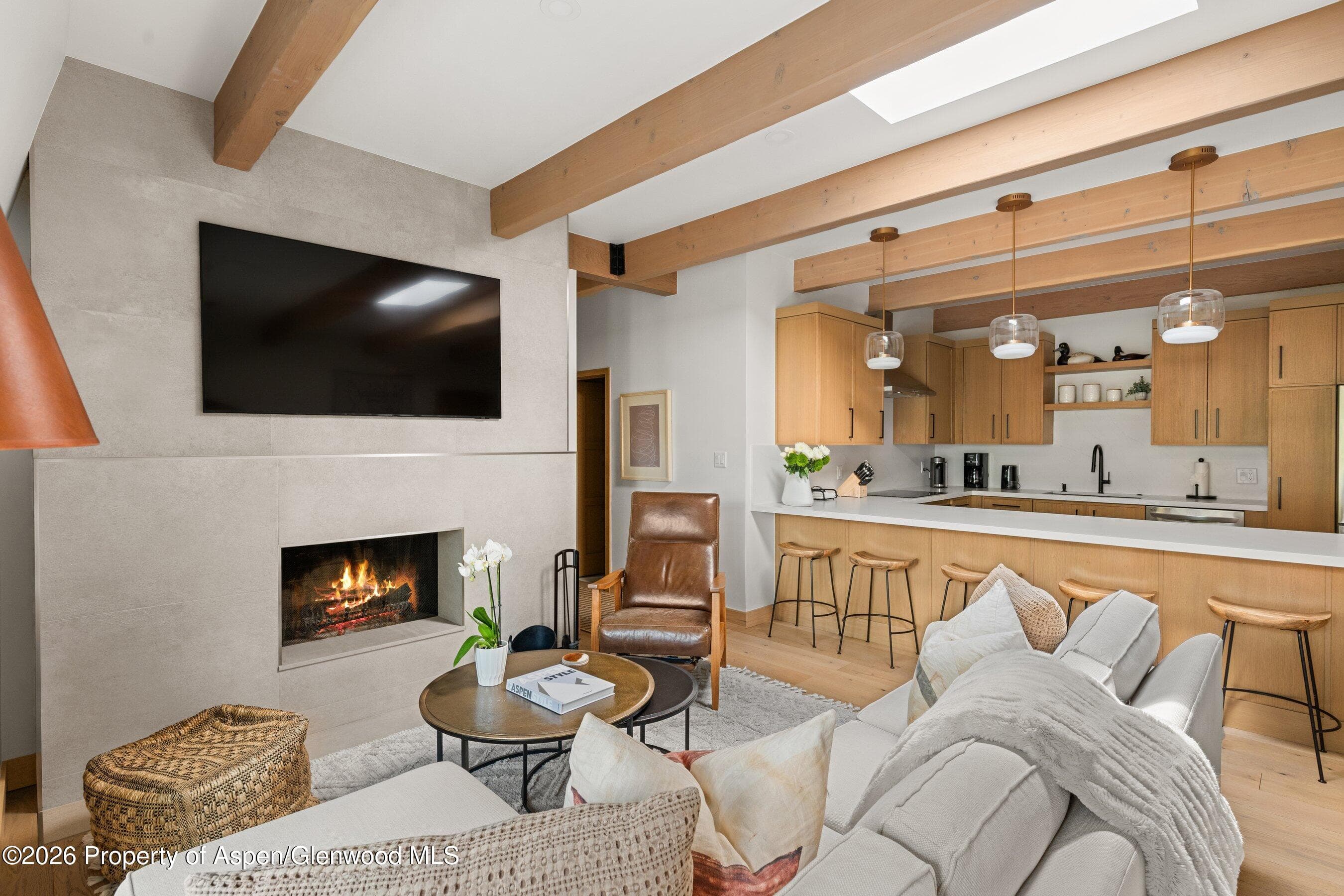 731 E Durant Avenue 17, Aspen, CO 81611 - Photo 7