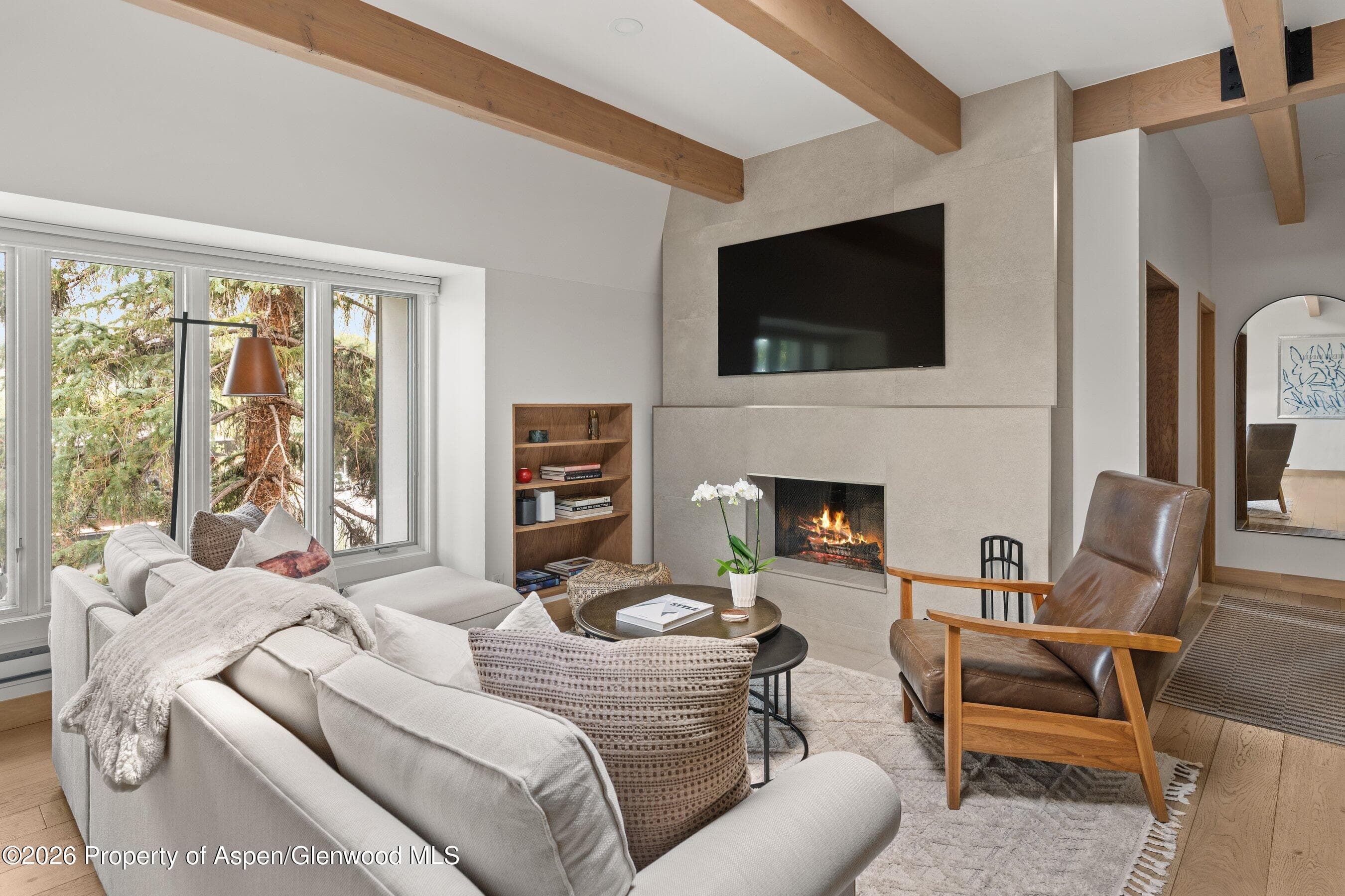 731 E Durant Avenue 17, Aspen, CO 81611 - Photo 4