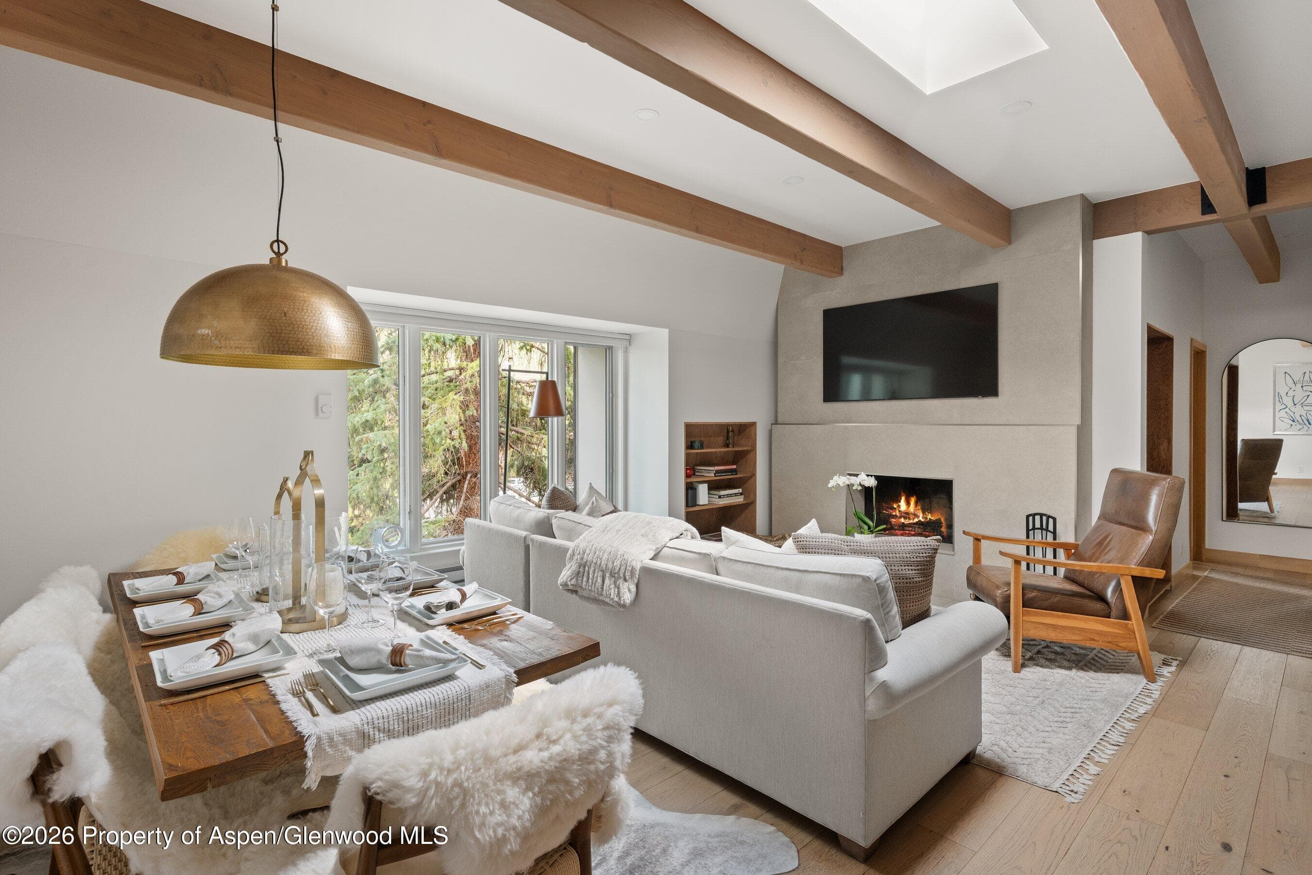 731 E Durant Avenue 17, Aspen, CO 81611 - Photo 3