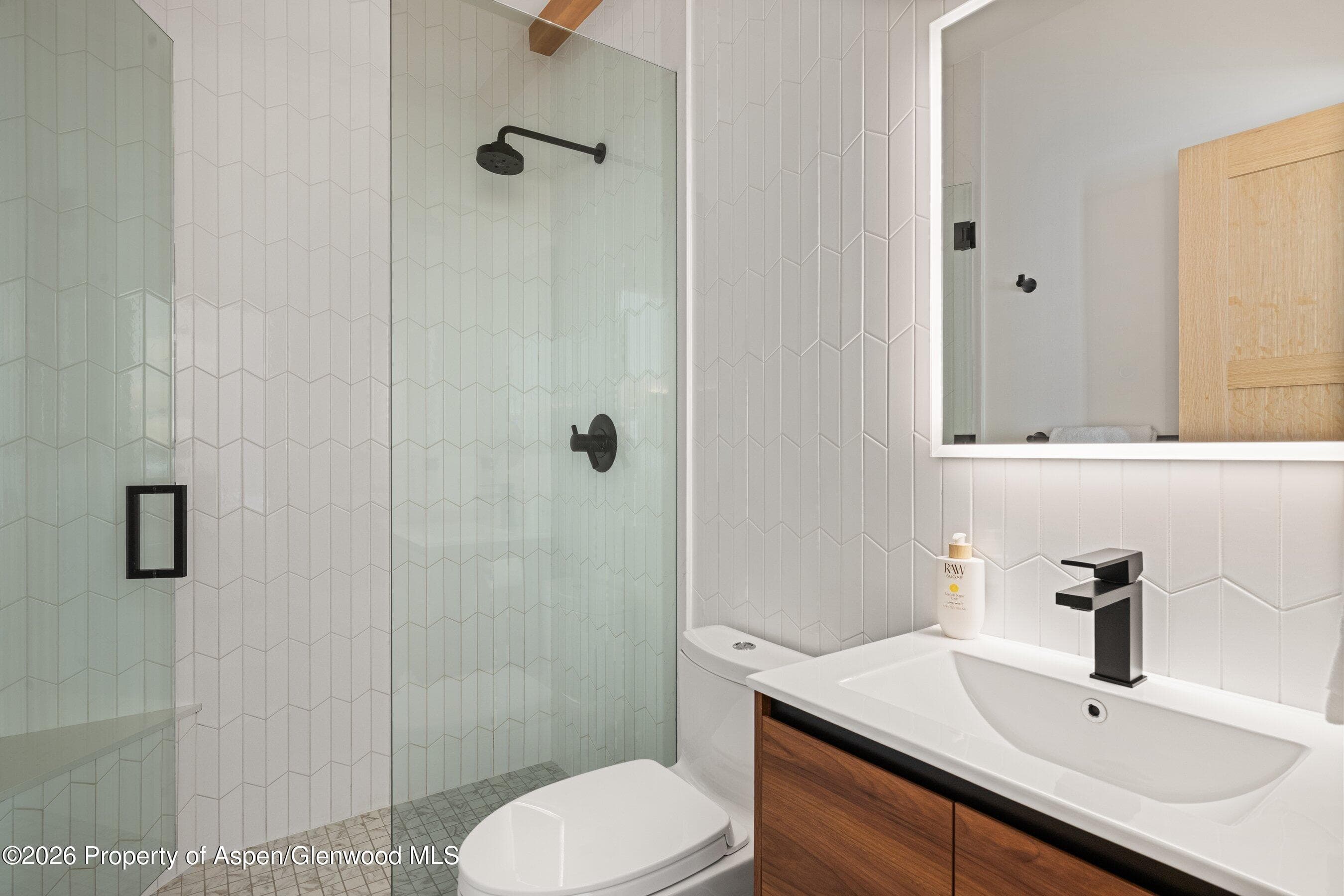 731 E Durant Avenue 17, Aspen, CO 81611 - Photo 20