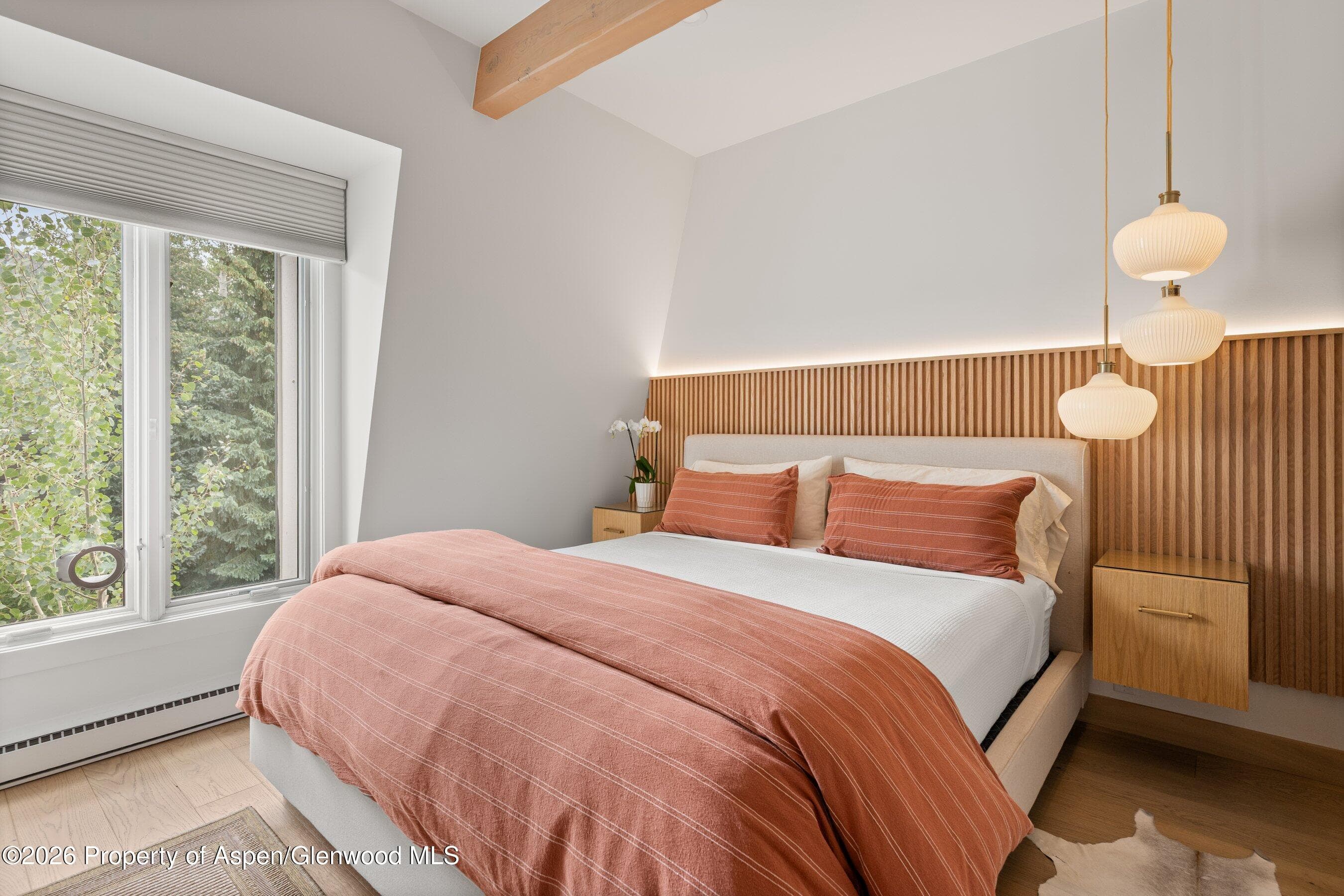 731 E Durant Avenue 17, Aspen, CO 81611 - Photo 15
