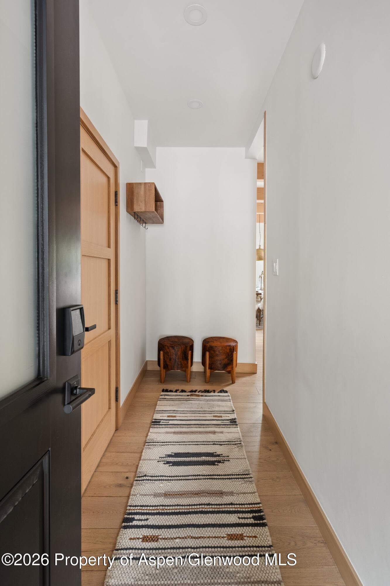 731 E Durant Avenue 17, Aspen, CO 81611 - Photo 14