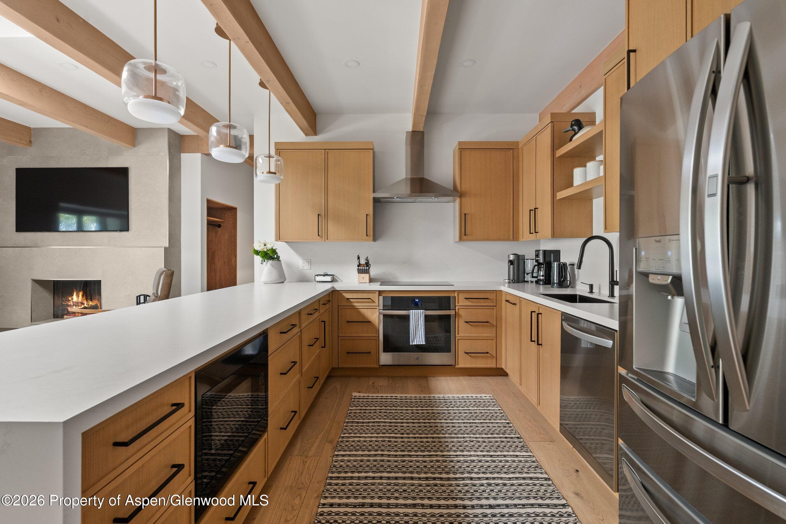731 E Durant Avenue 17, Aspen, CO 81611 - Photo 10