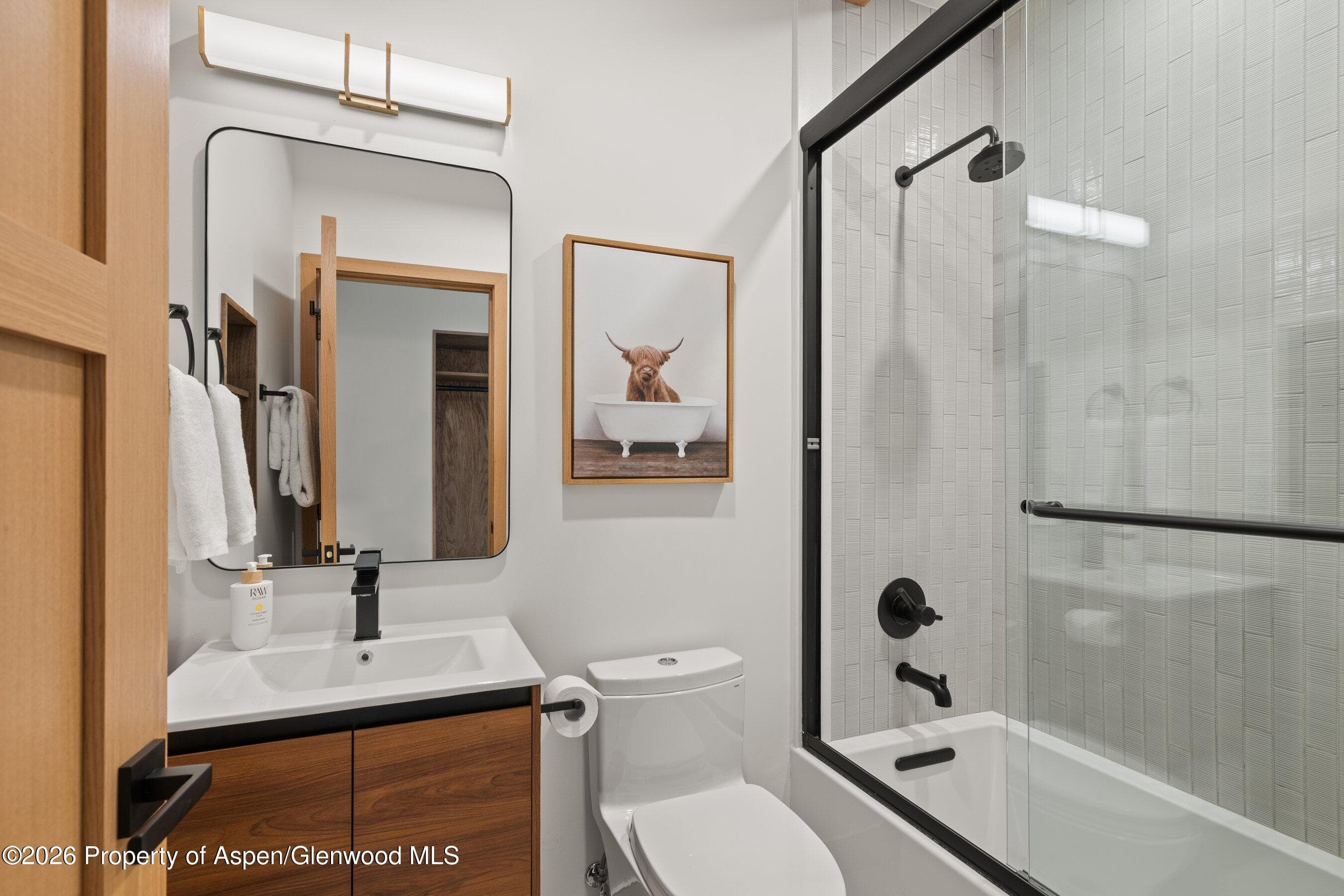 731 E Durant Avenue 17, Aspen, CO 81611 - Photo 24
