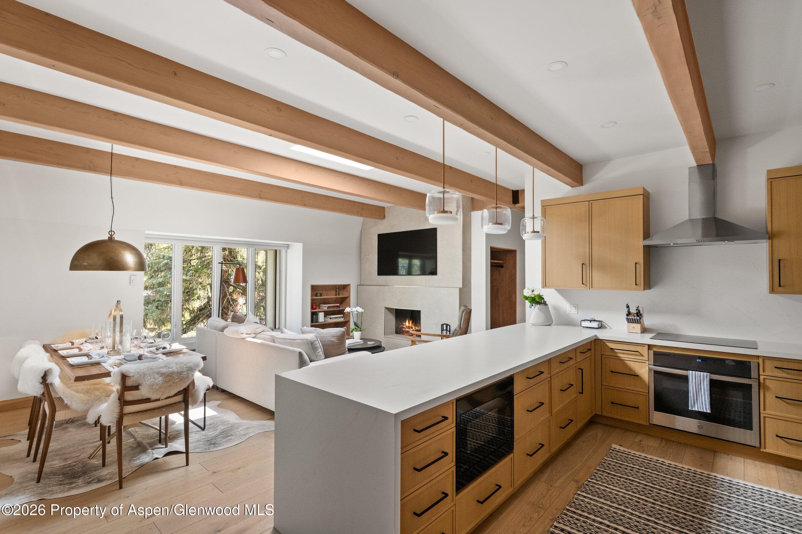 731 E Durant Avenue 17, Aspen, CO 81611