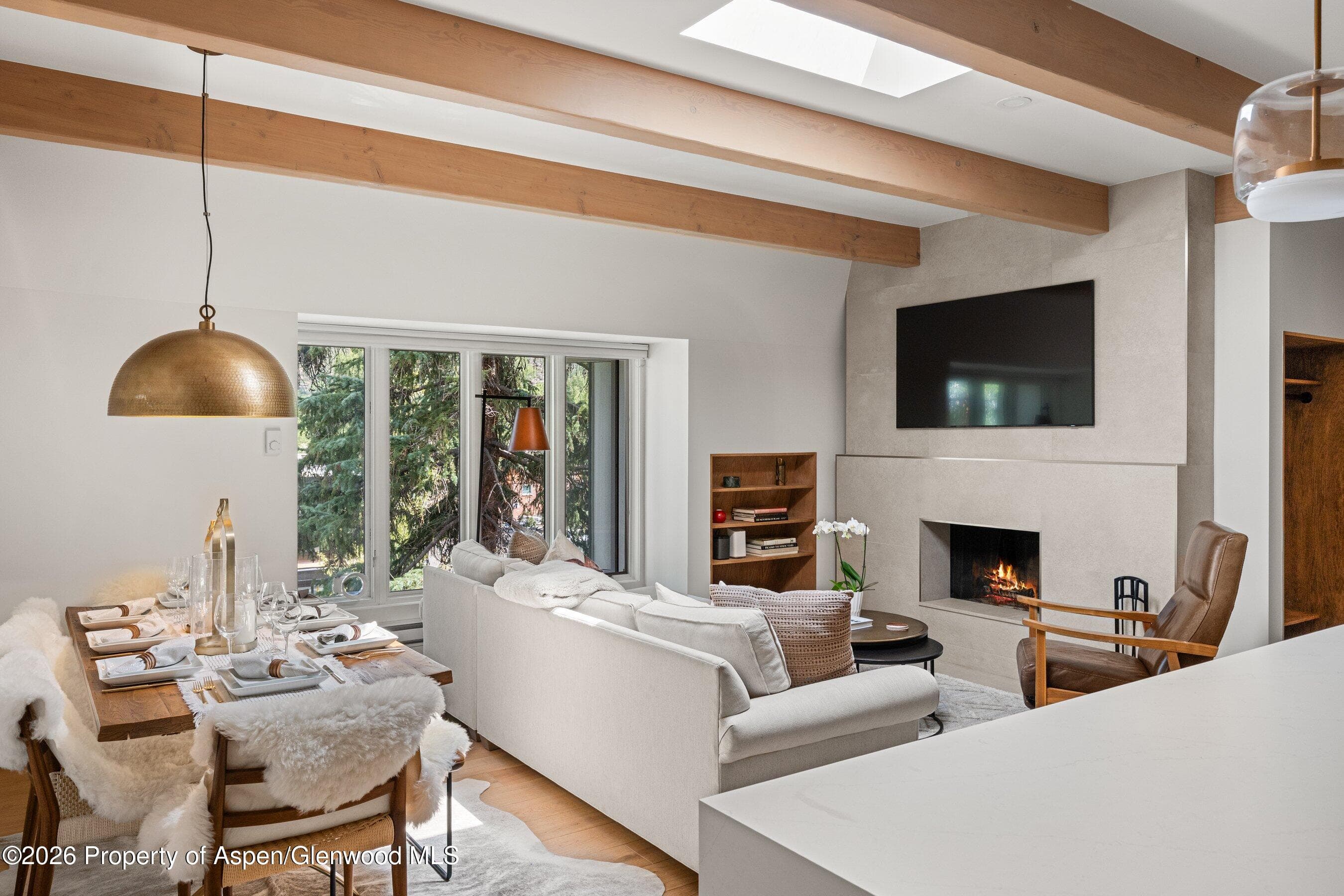 731 E Durant Avenue 17, Aspen, CO 81611 - Photo 2