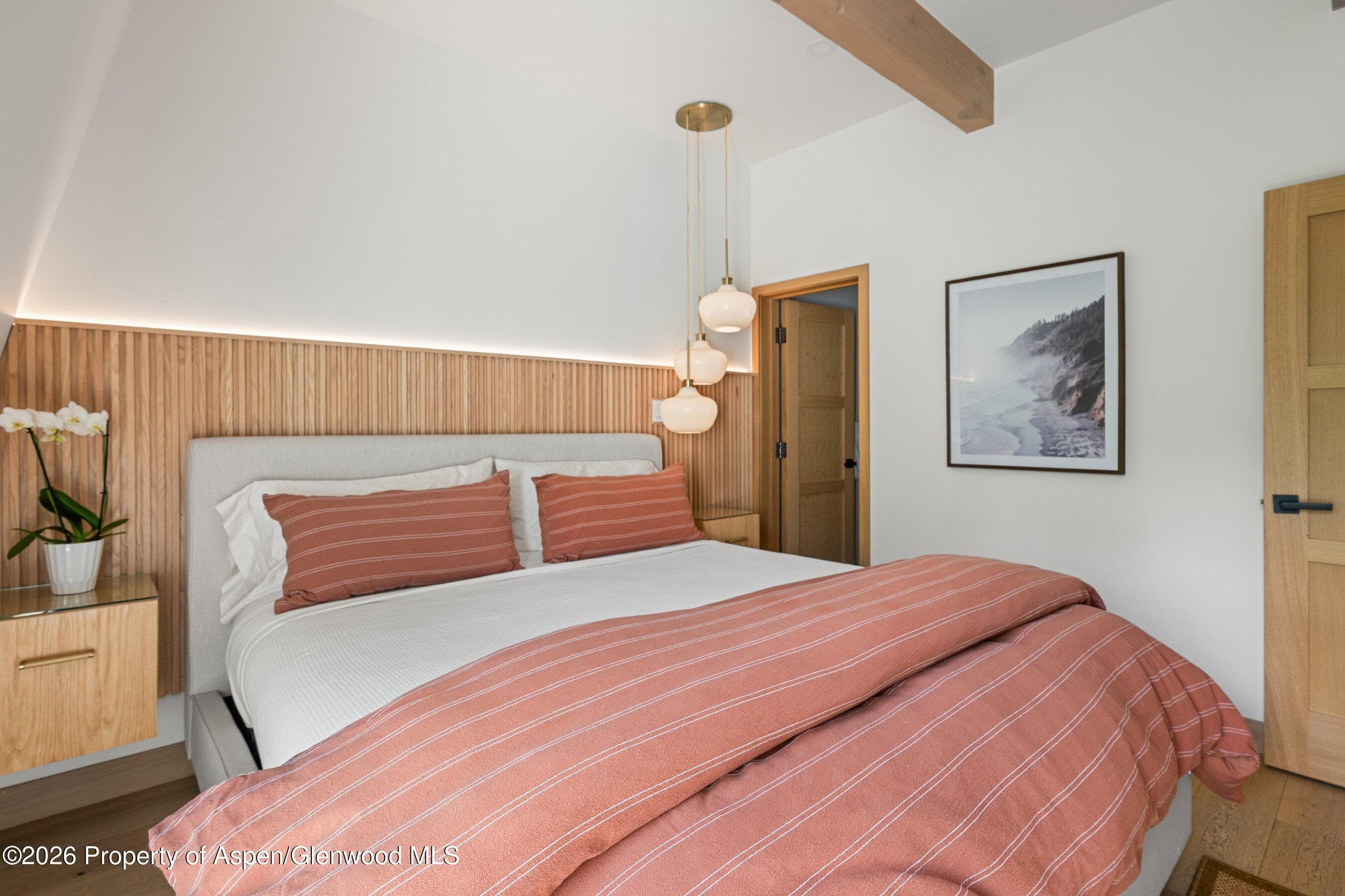 731 E Durant Avenue 17, Aspen, CO 81611 - Photo 18