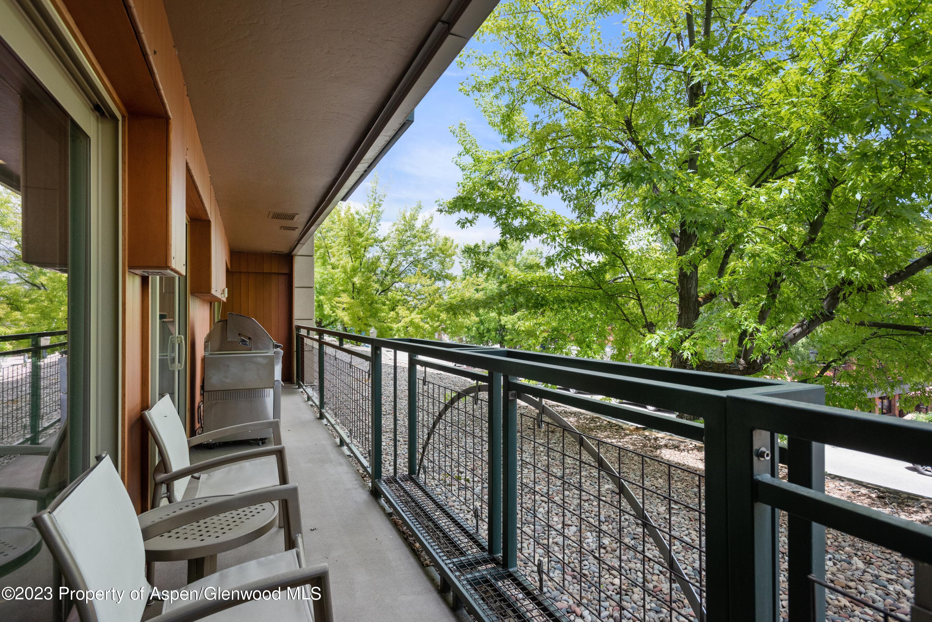 555 E Durant Avenue 2l, Aspen, CO 81611 - Photo 18