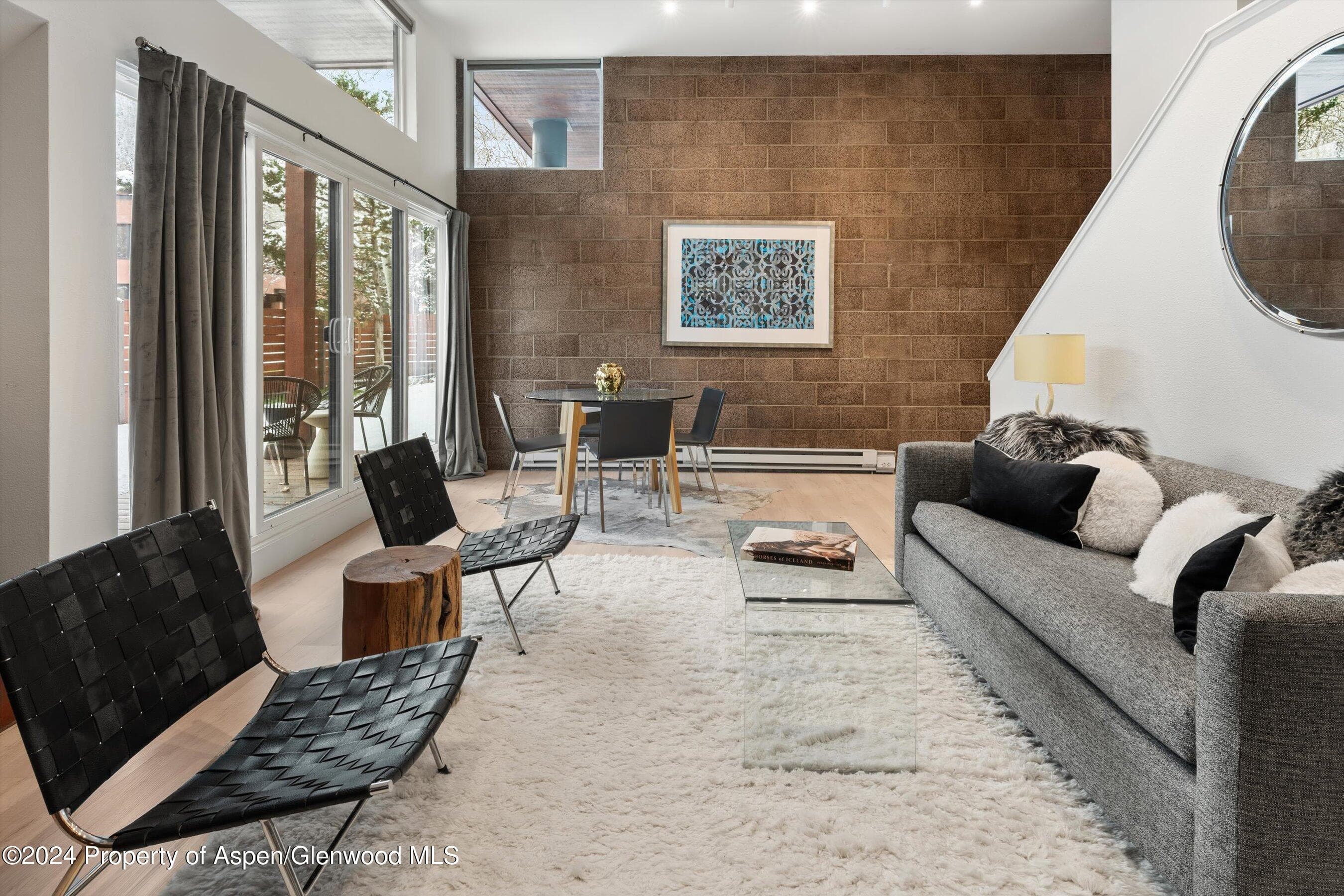 311 S Aspen Street 2, Aspen, CO 81611 - Photo 4