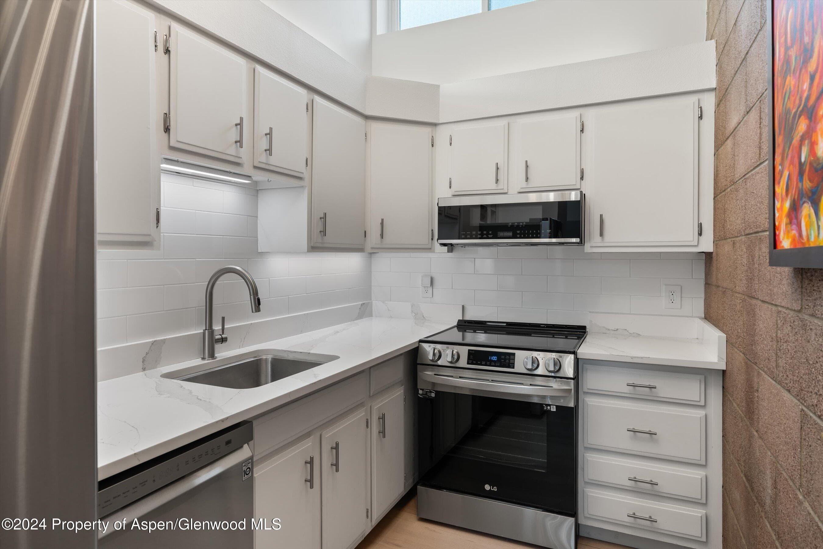 311 S Aspen Street 2, Aspen, CO 81611 - Photo 6