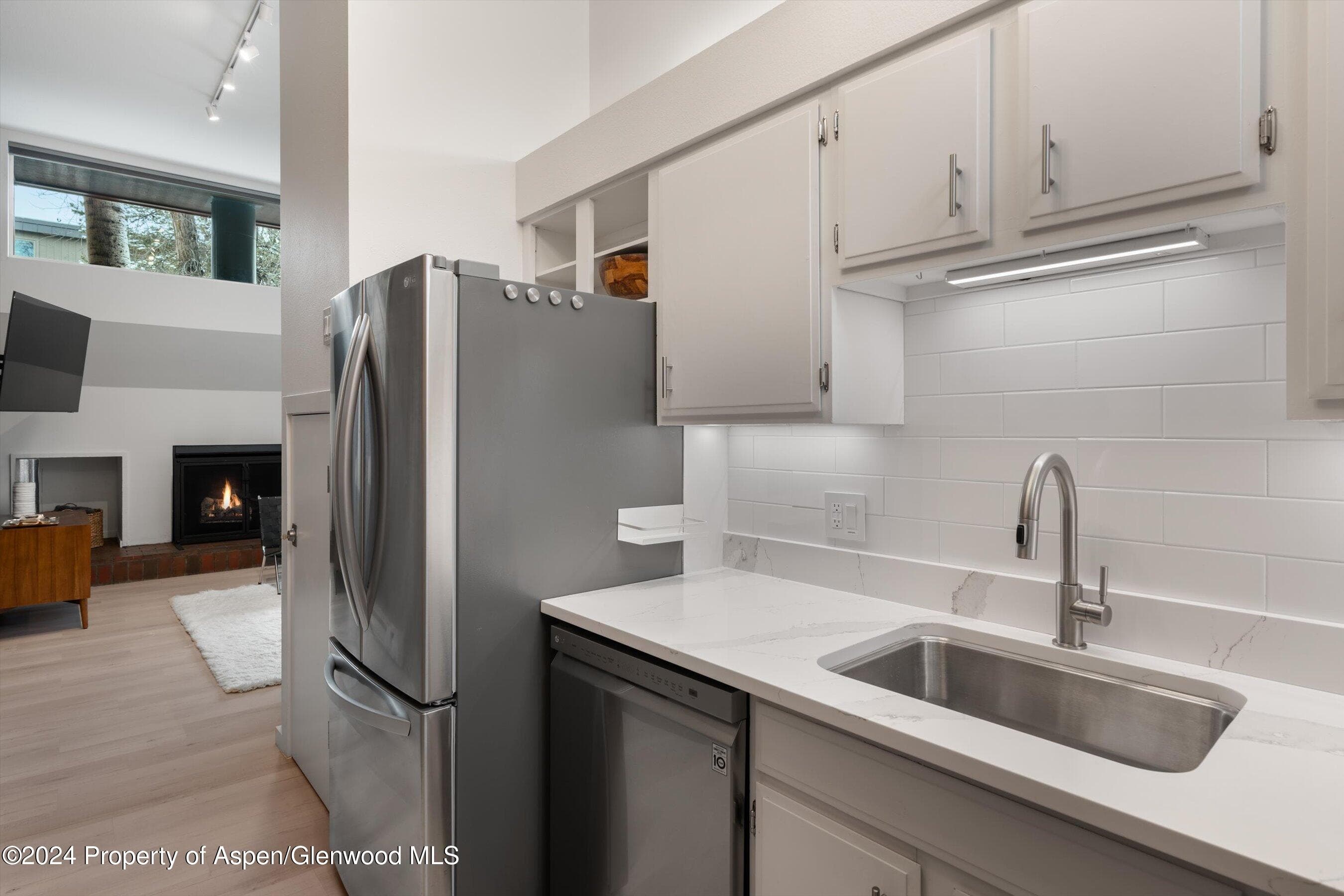 311 S Aspen Street 2, Aspen, CO 81611 - Photo 8