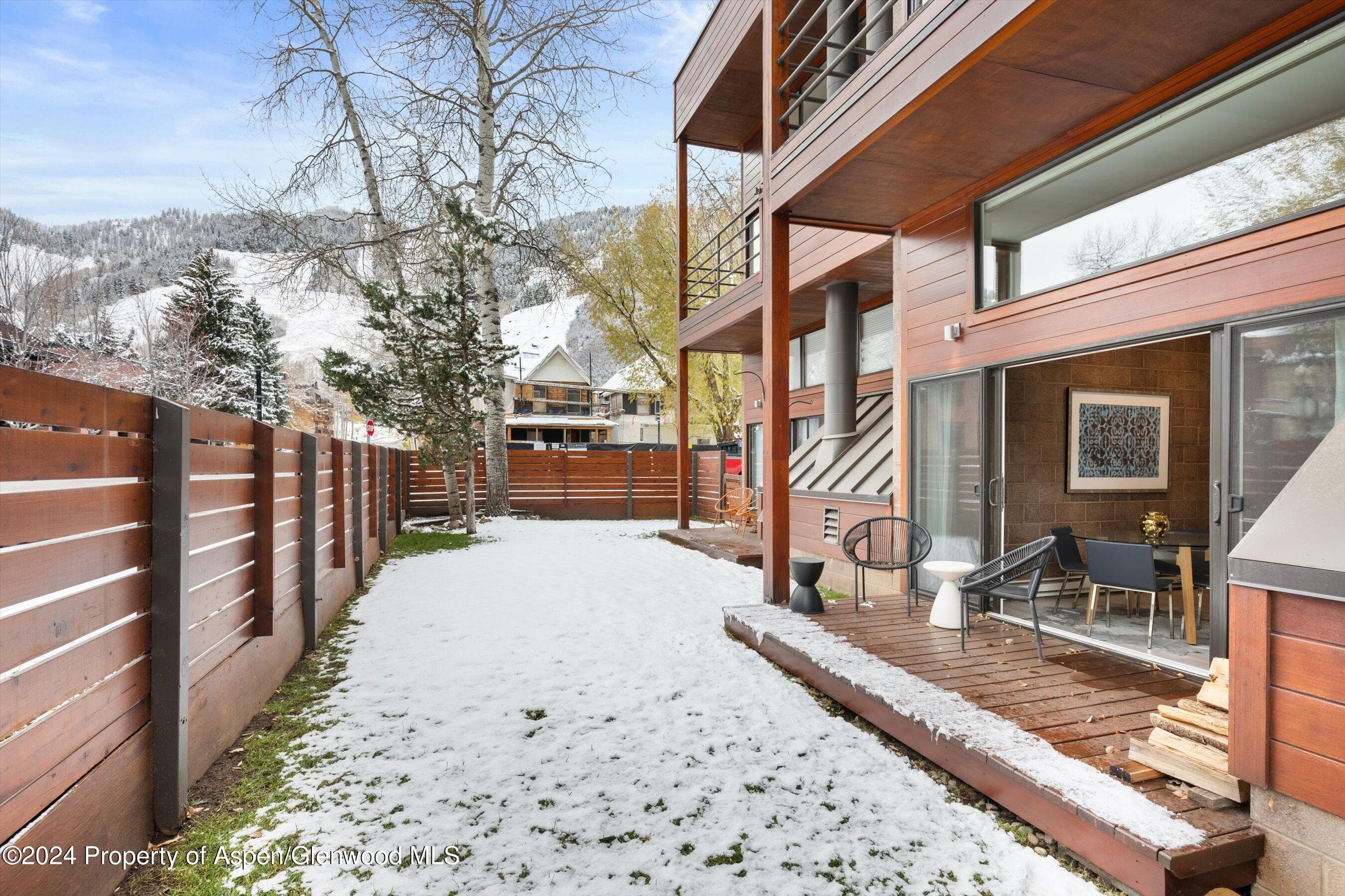 311 S Aspen Street 2, Aspen, CO 81611 - Photo 16